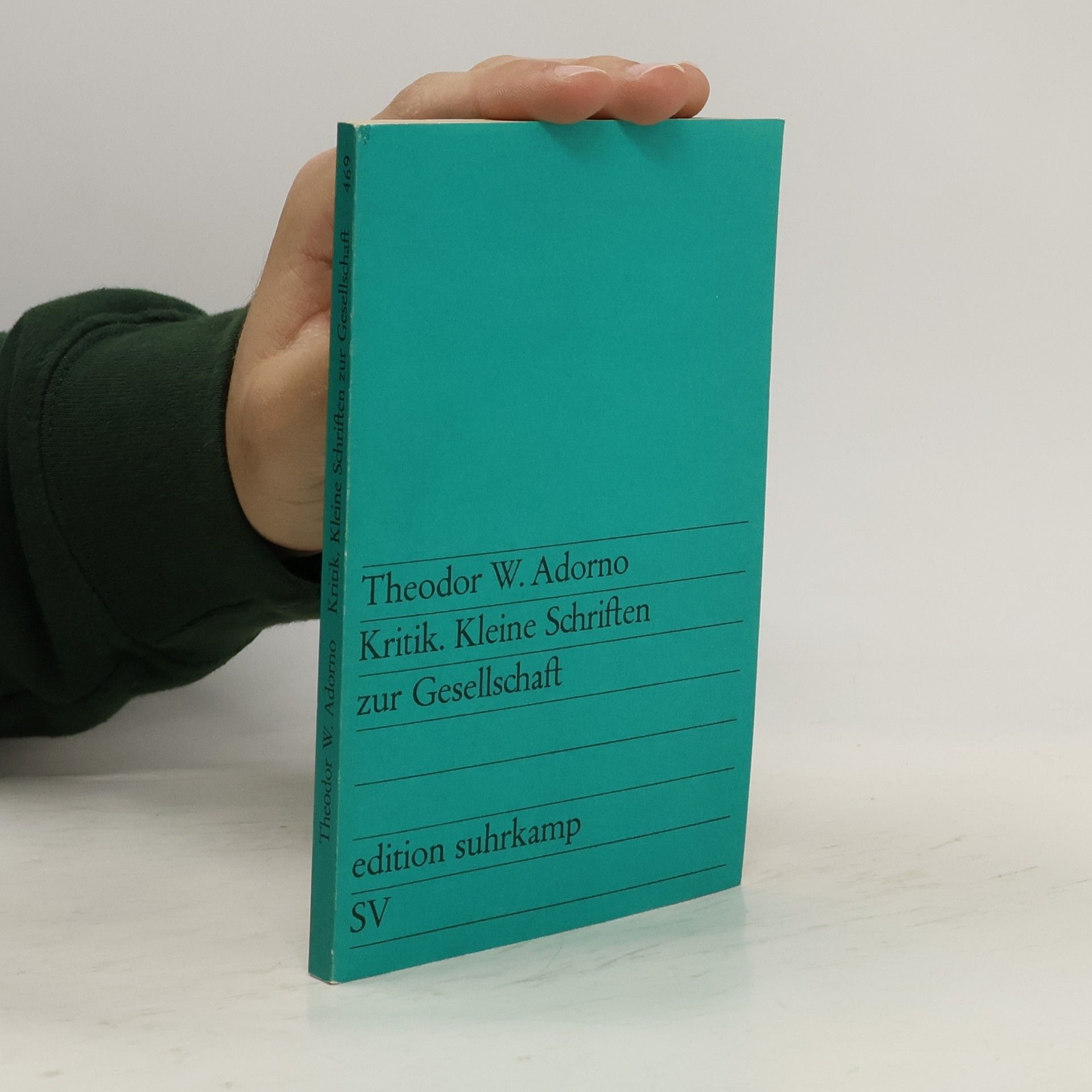 Theodor W. Adorno Kritik. Kleine Schriften zur Gesellschaft