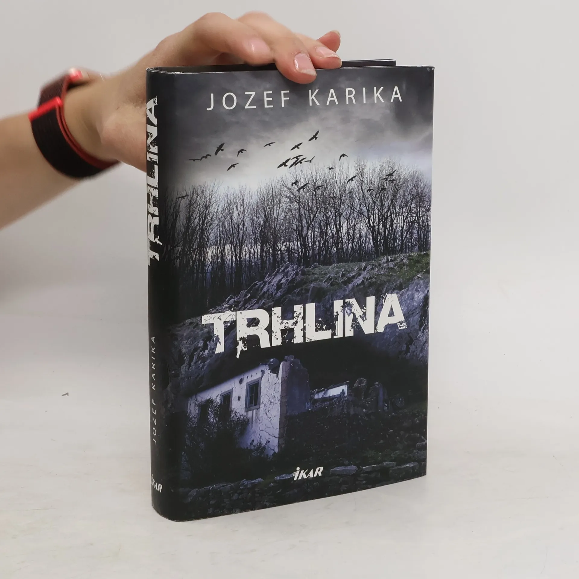 Trhlina | Kniha | pevná | Jozef Karika | SK