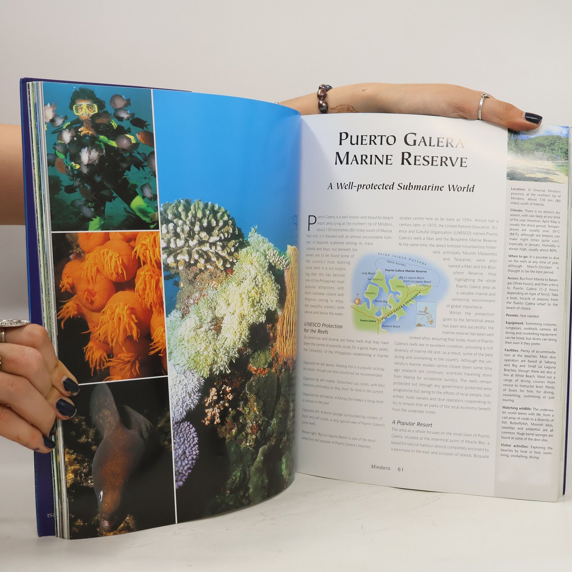 Nigel Hicks The National Parks and Other Wild Places of the Philippines