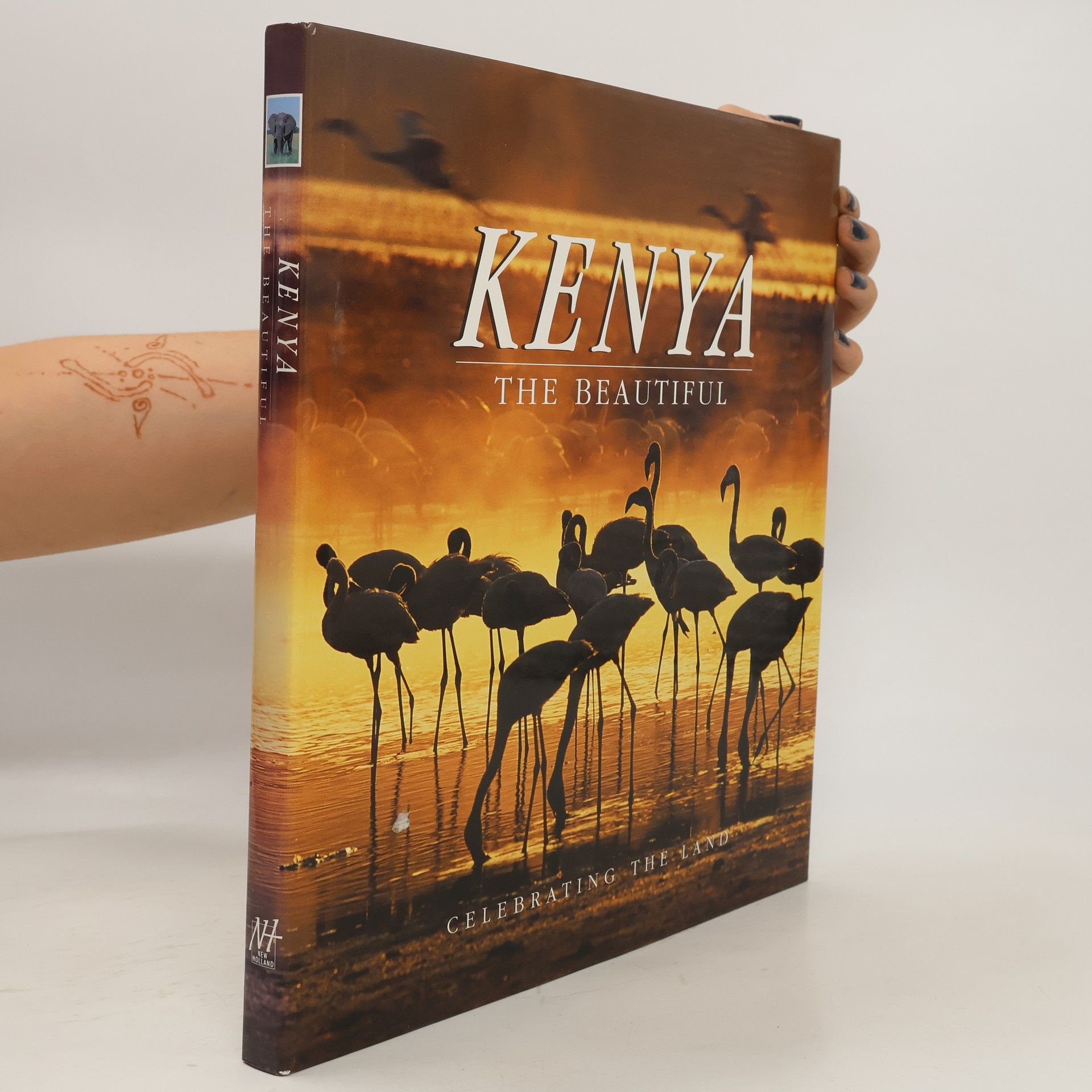 Michael Brett Kenya, the Beautiful