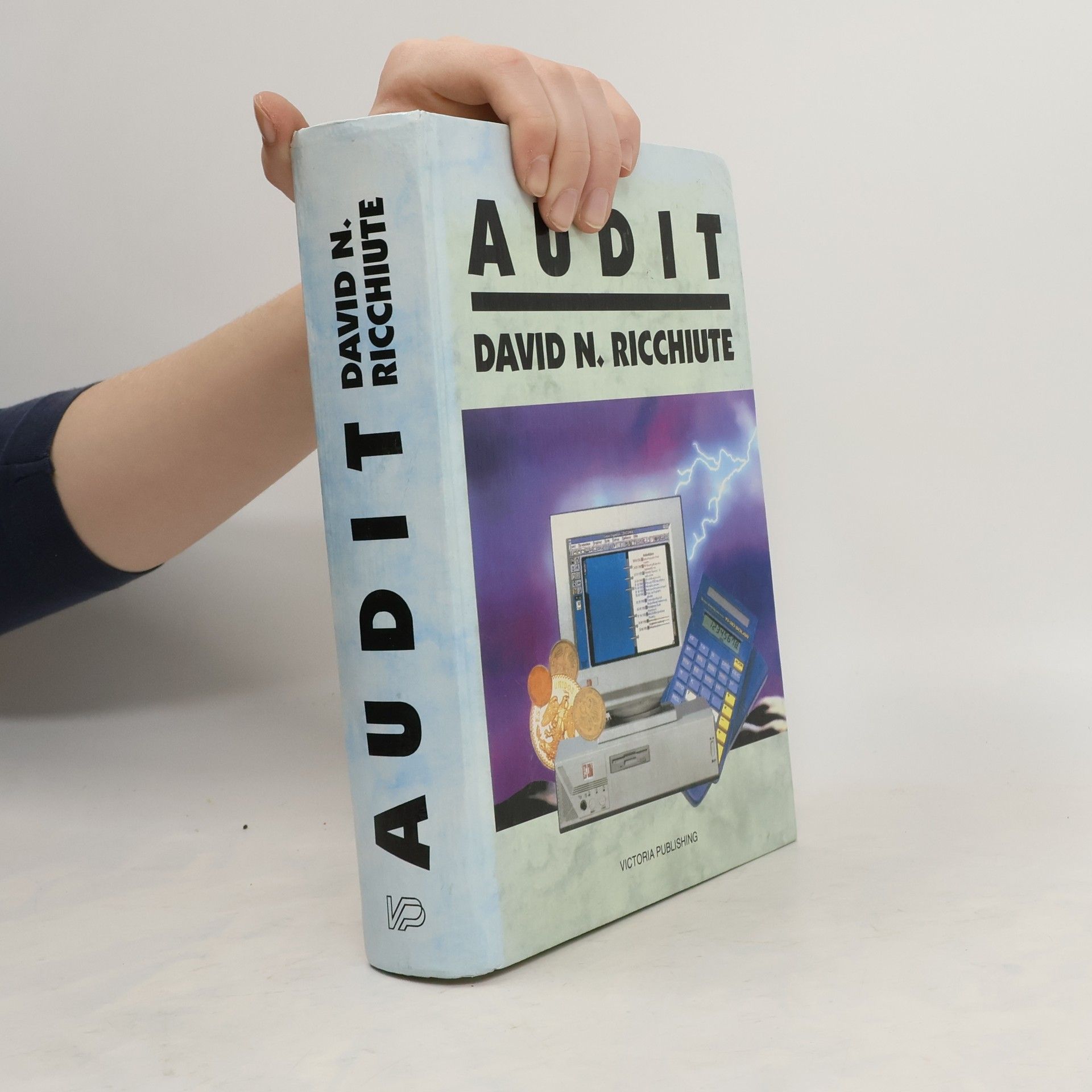 David N. Ricchiute Audit