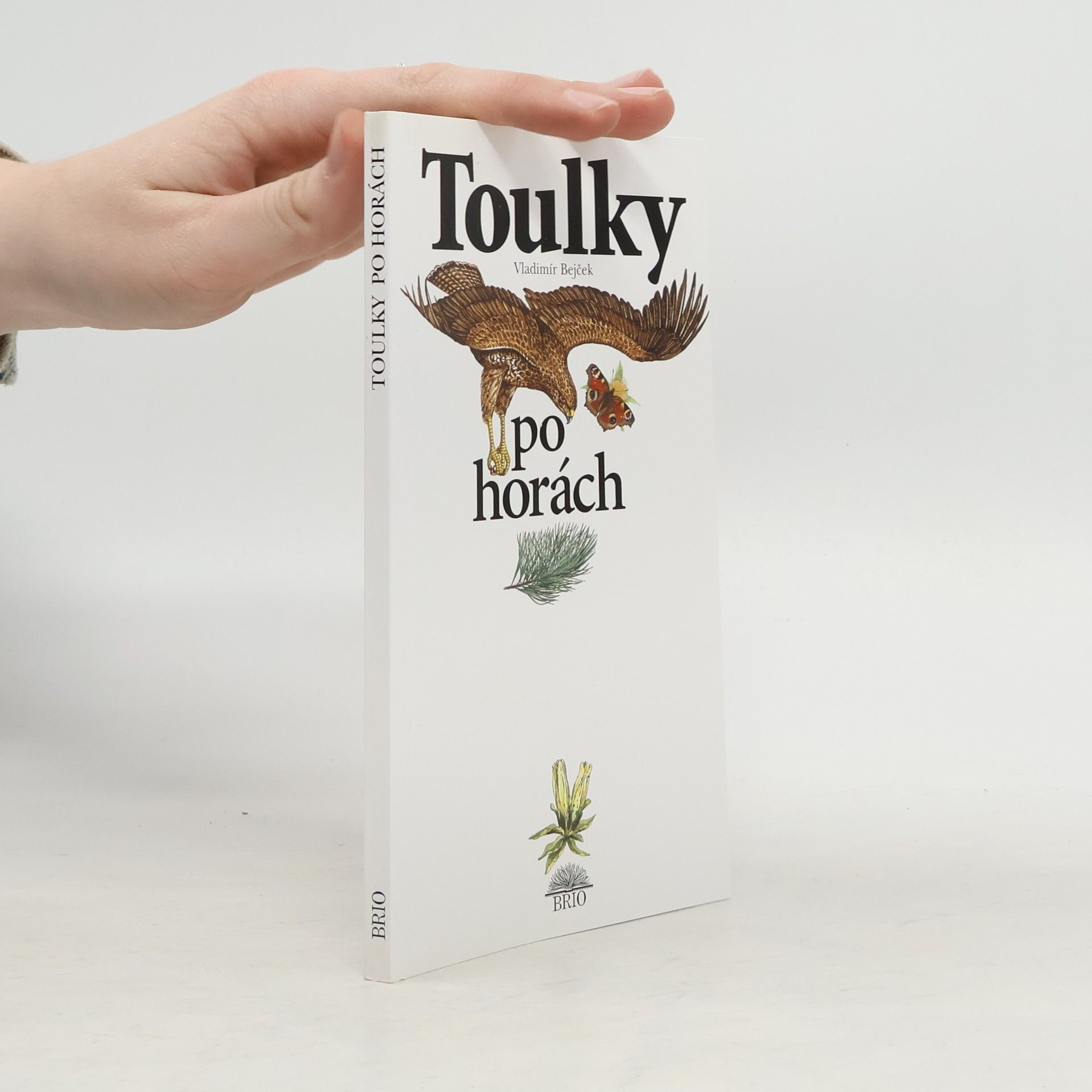 Vladimír Bejček Toulky po horách