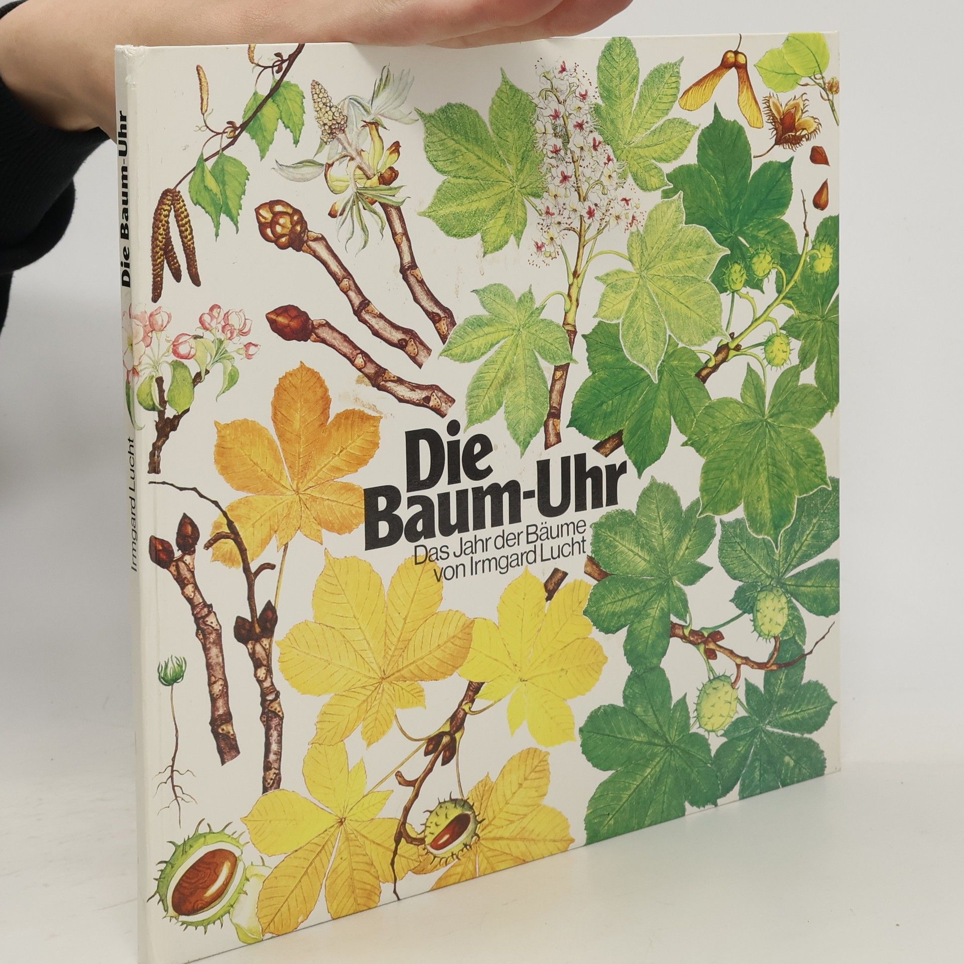 Autorenkollektiv Die Baum-Uhr