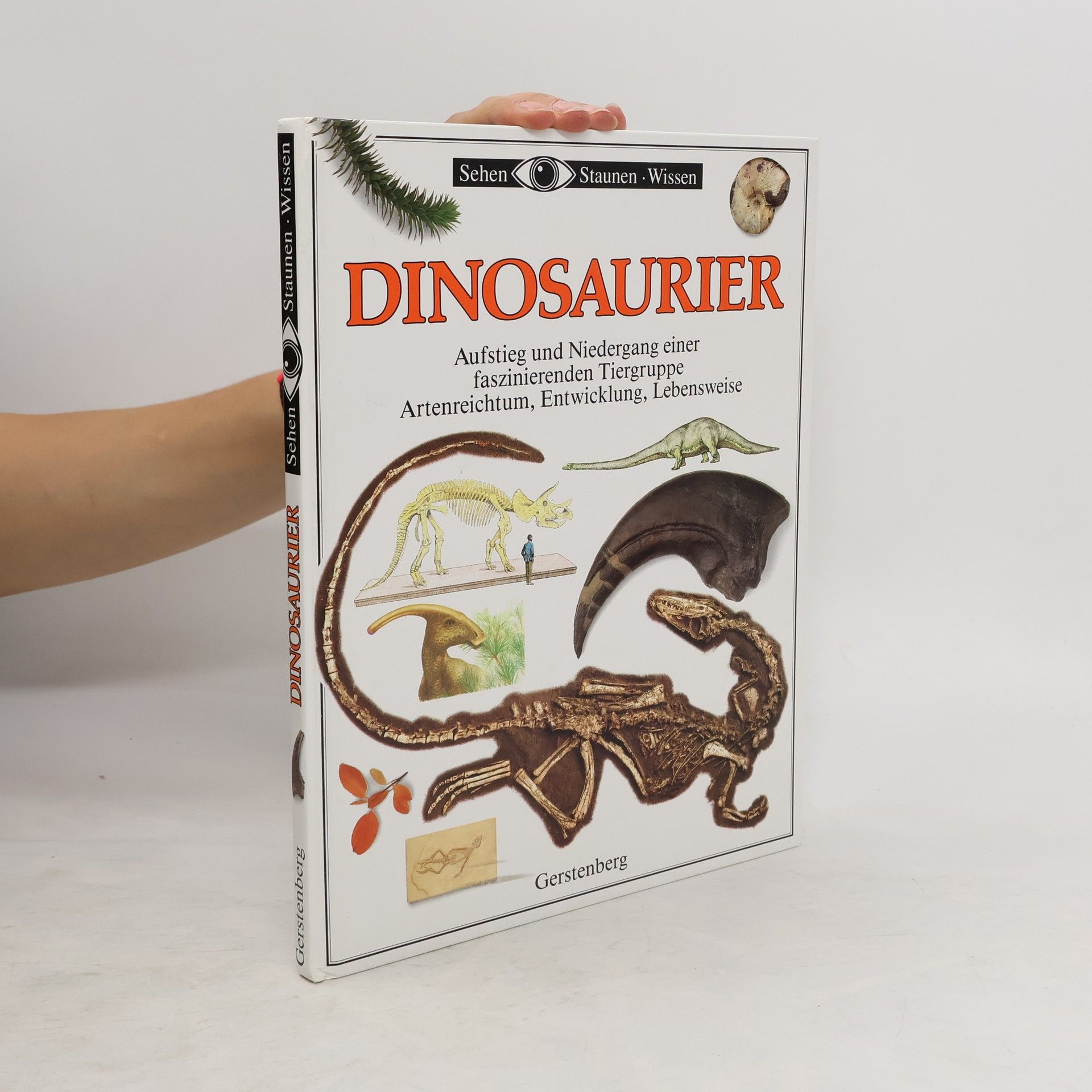 David B. Norman Dinosaurier. Aufstieg und Niedergang einer faszinierenden Tiergruppe Artenreichtum, Entwicklung, Lebensweise