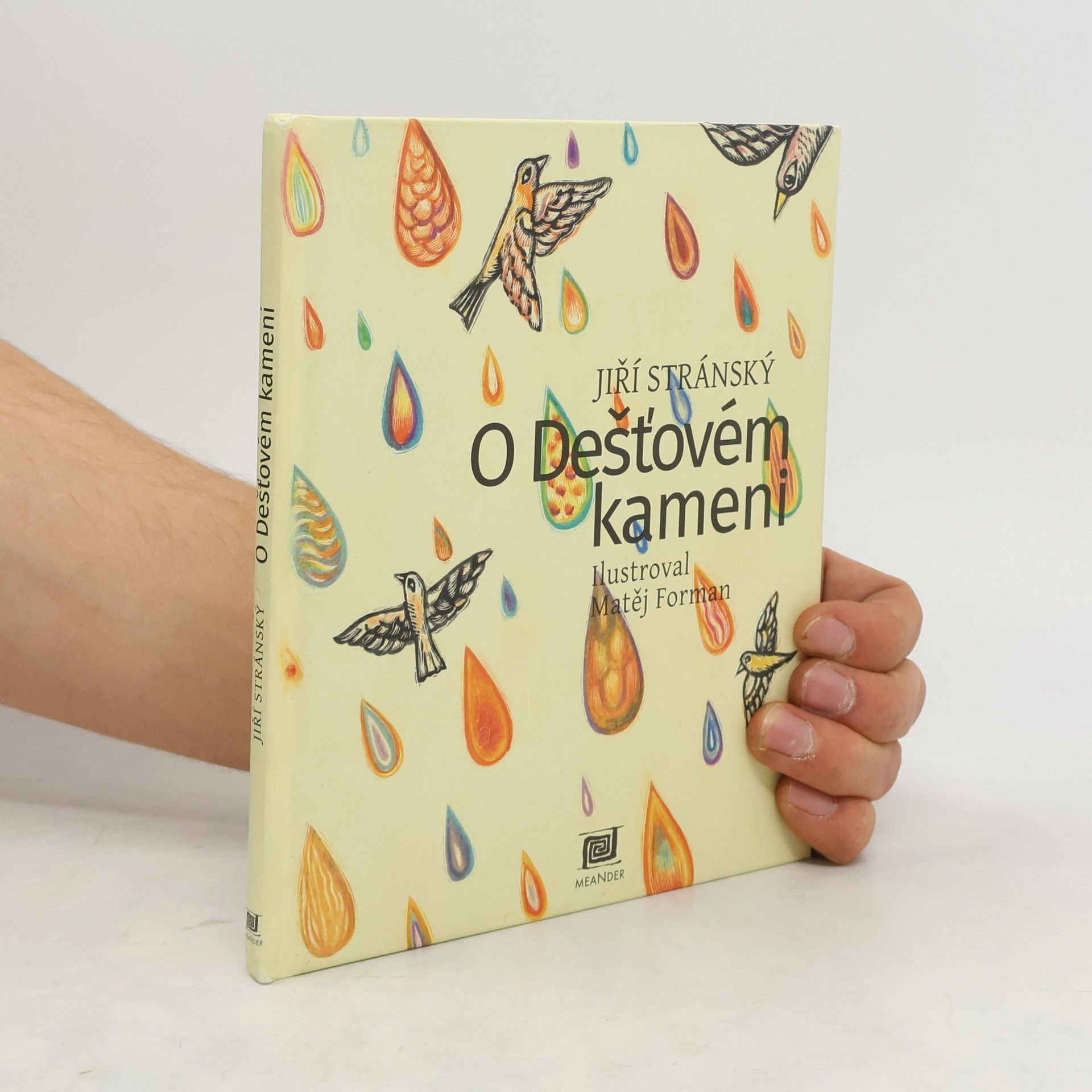 Jiří Stránský O Dešťovém kameni