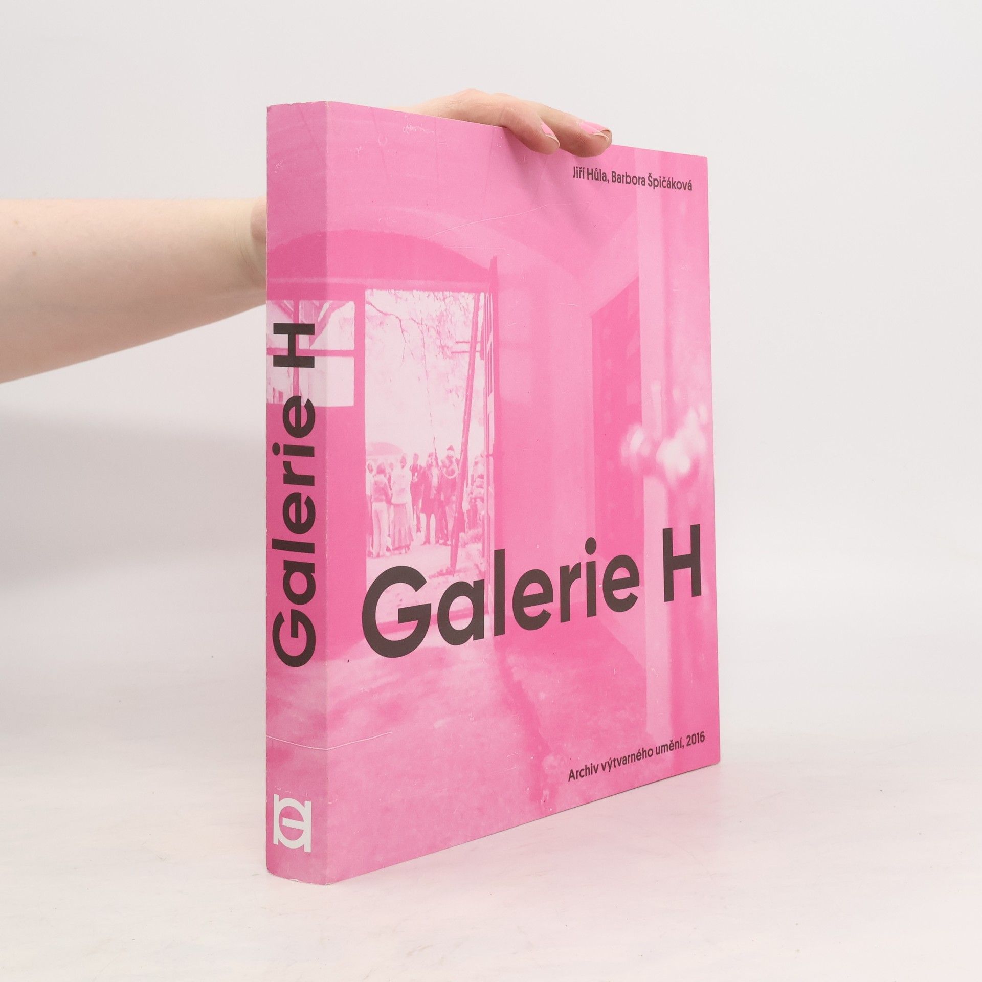 Barbora Špičáková Galerie H