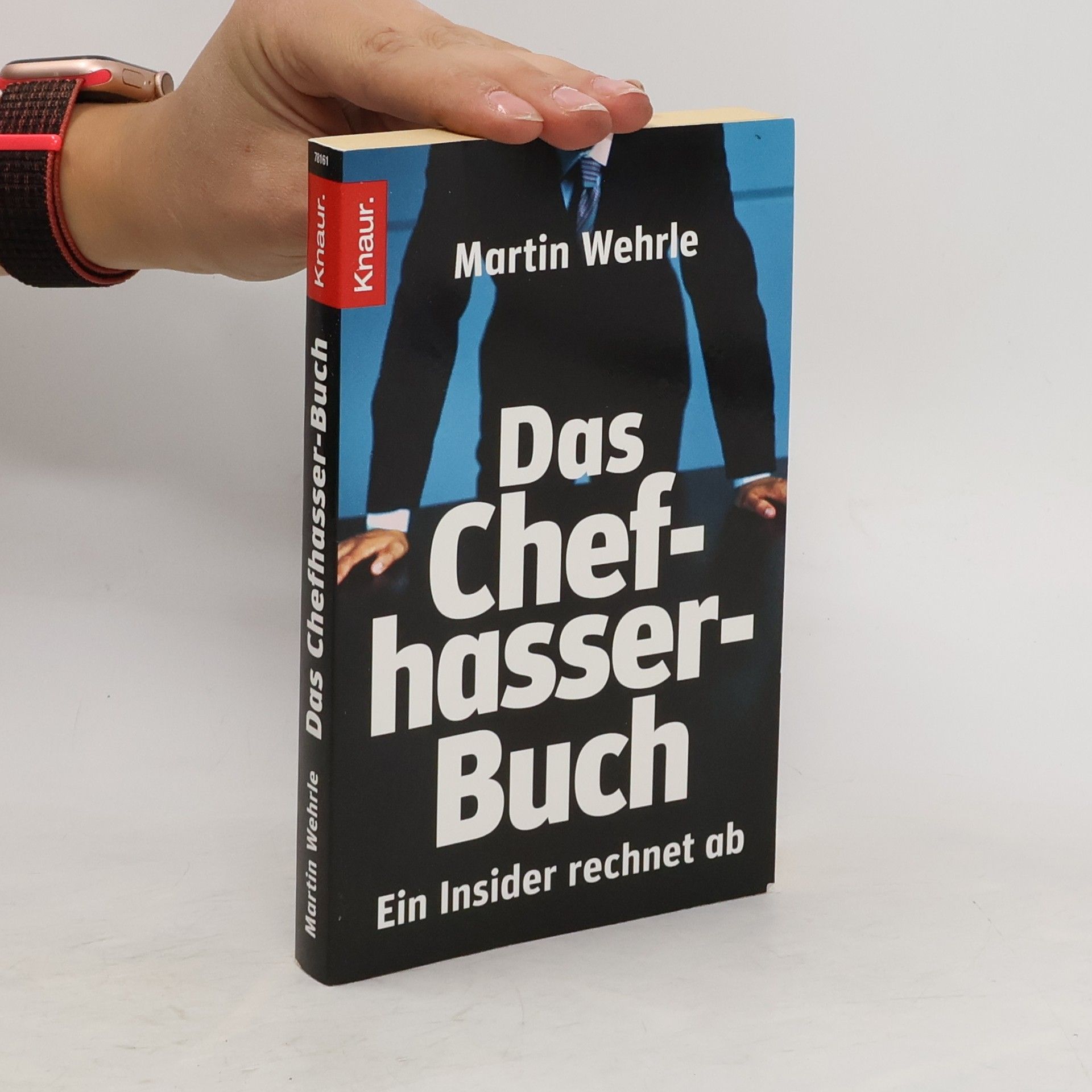 Martin Wehrle Das Chefhasser-Buch