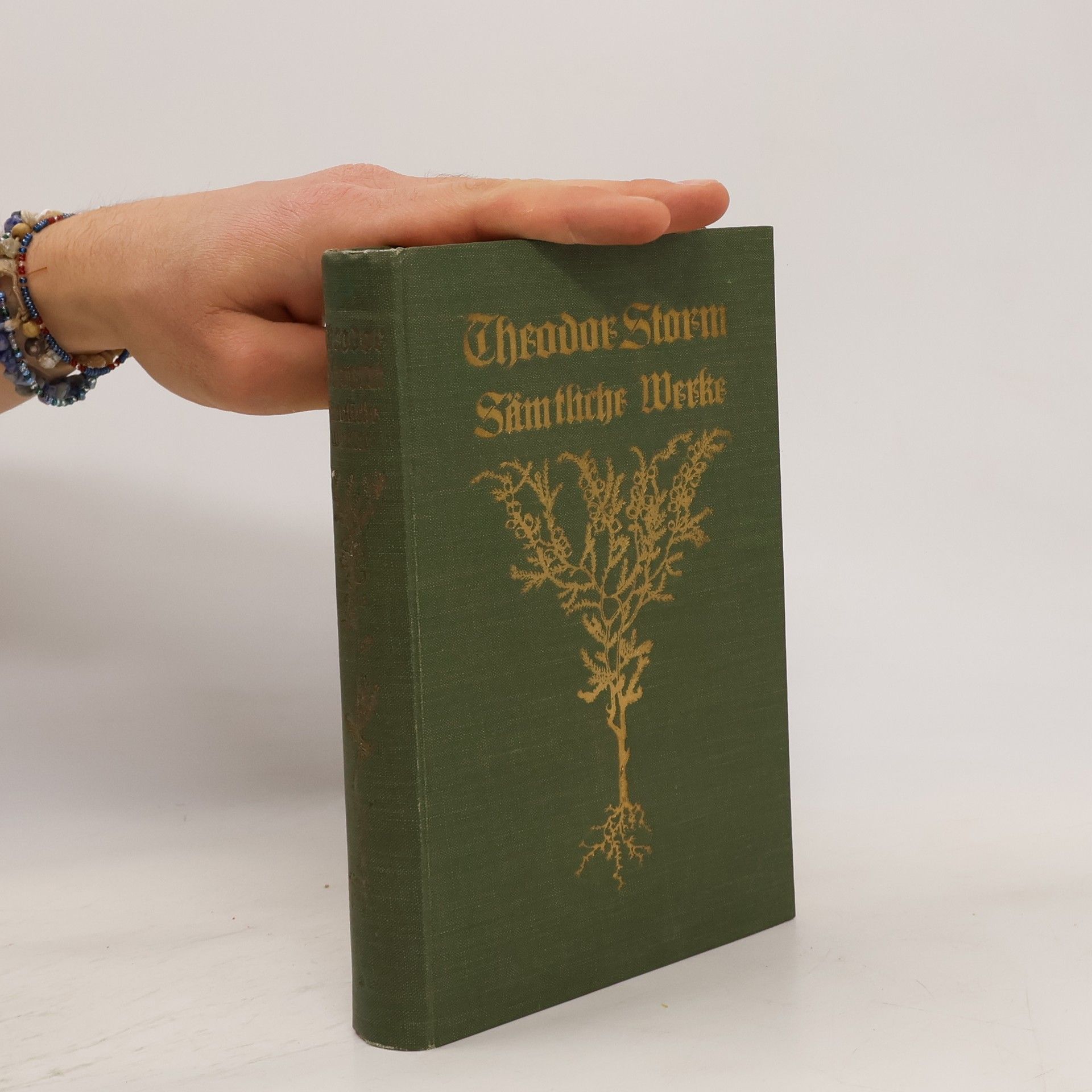 Theodor Storm Sämtliche Werke 2