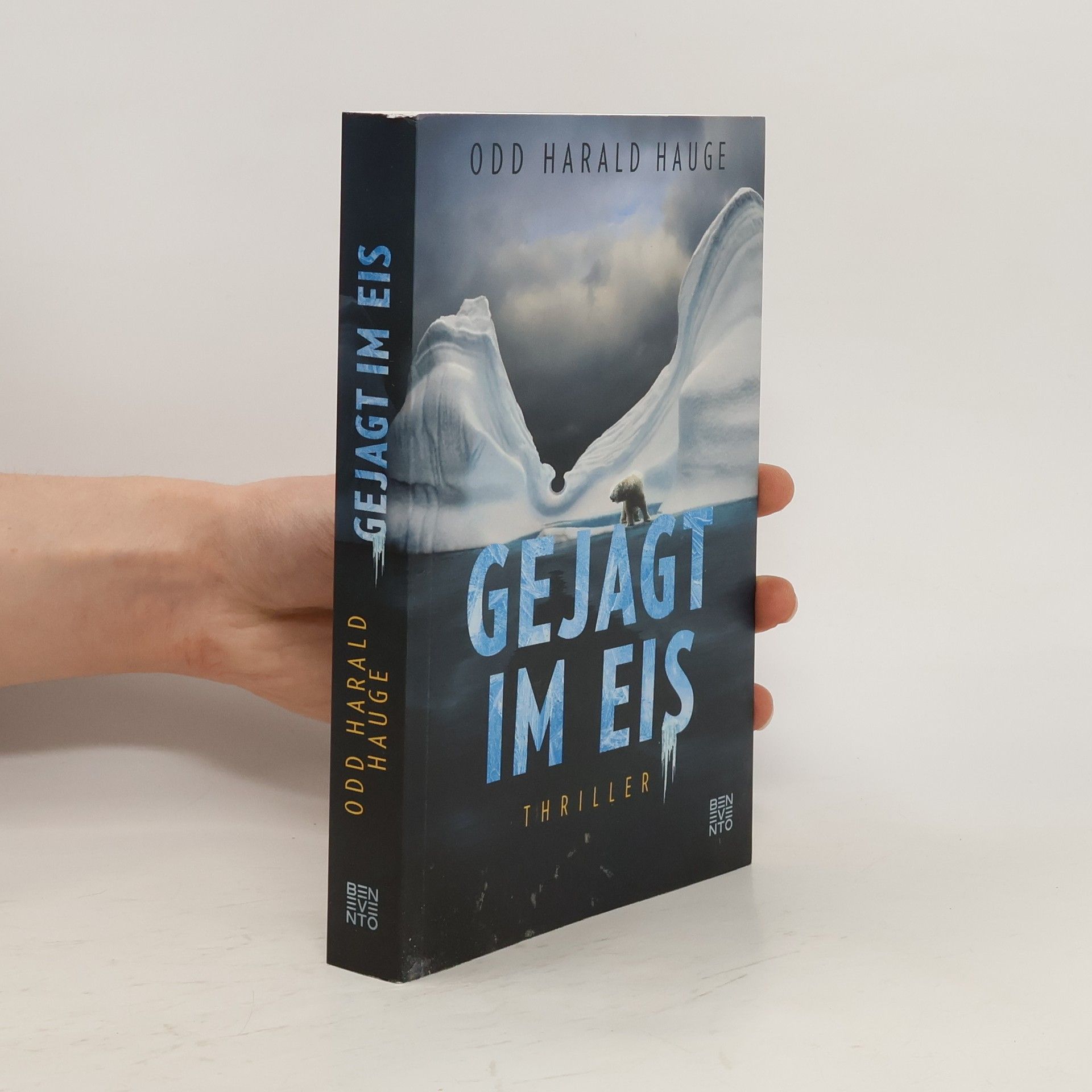 Odd Harald Hauge Gejagt im Eis
