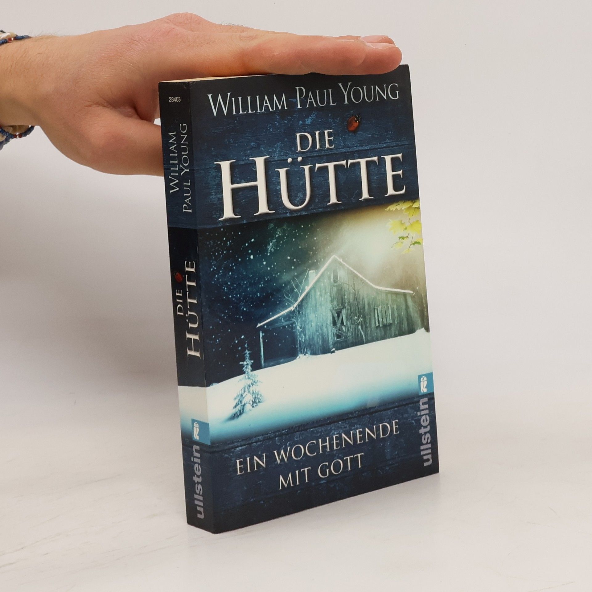William P. Young Die Hütte