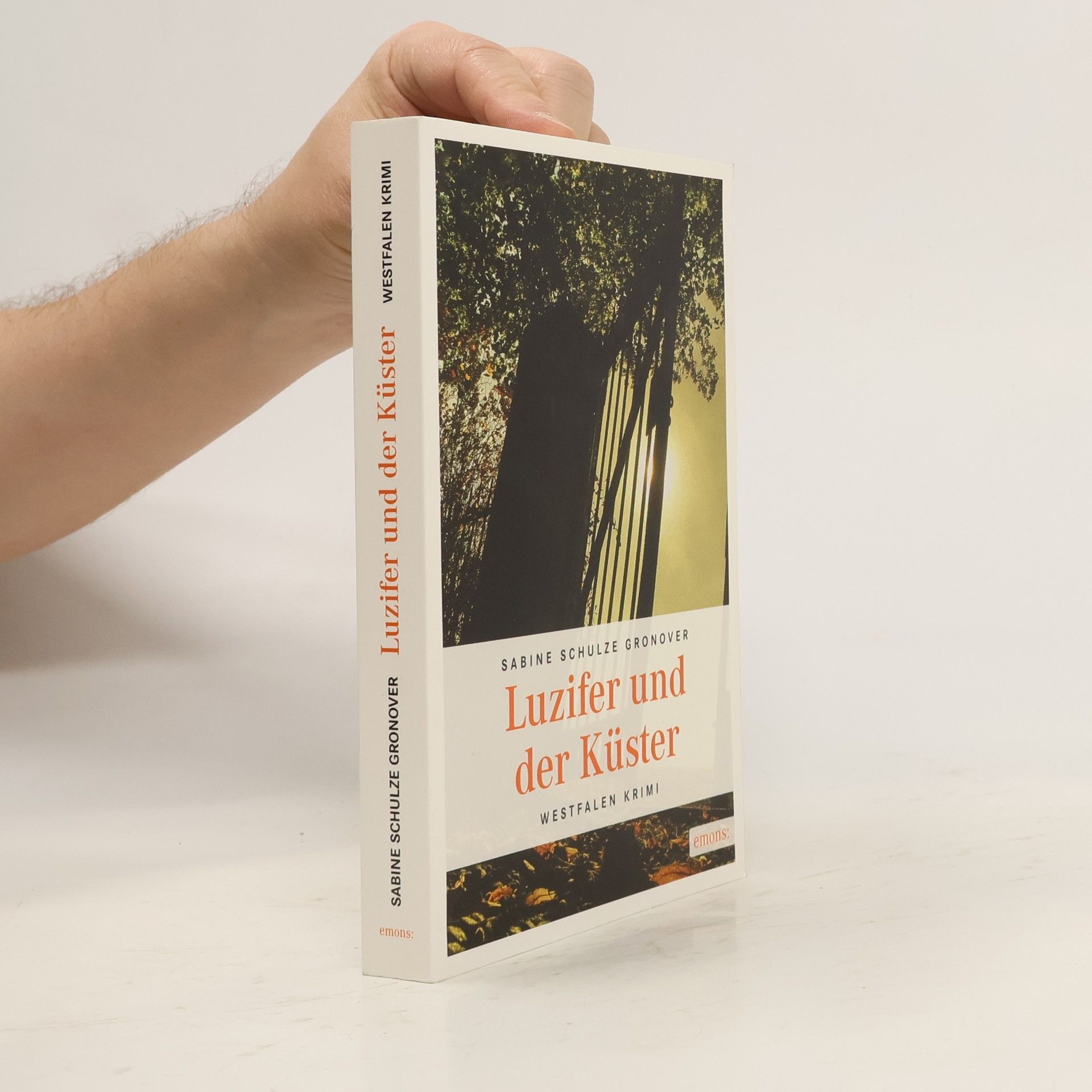 Sabine Schulze Gronover Luzifer und der Küster