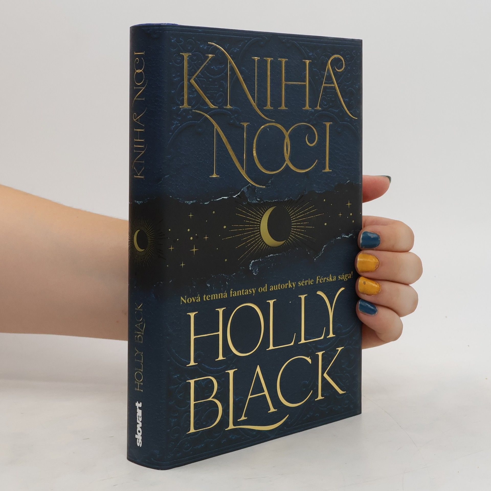 Holly Black Kniha noci