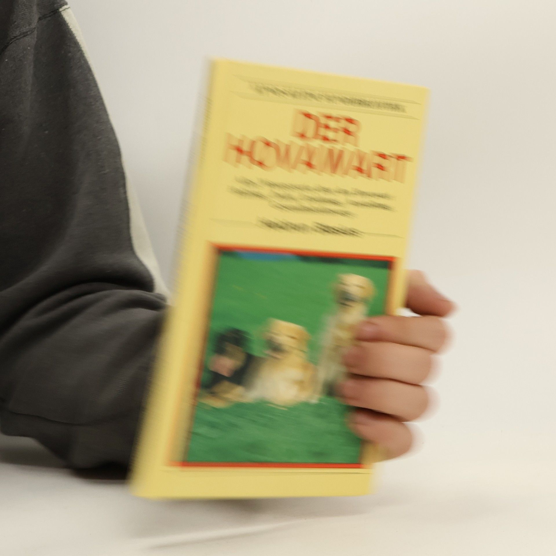 Heidrun Blasius Der Hovawart