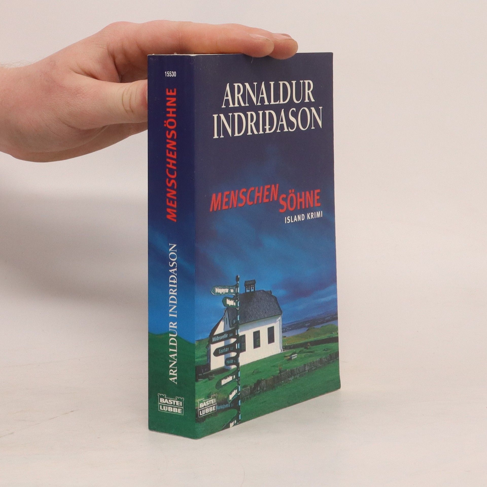 Arnaldur Indridason Menschensöhne