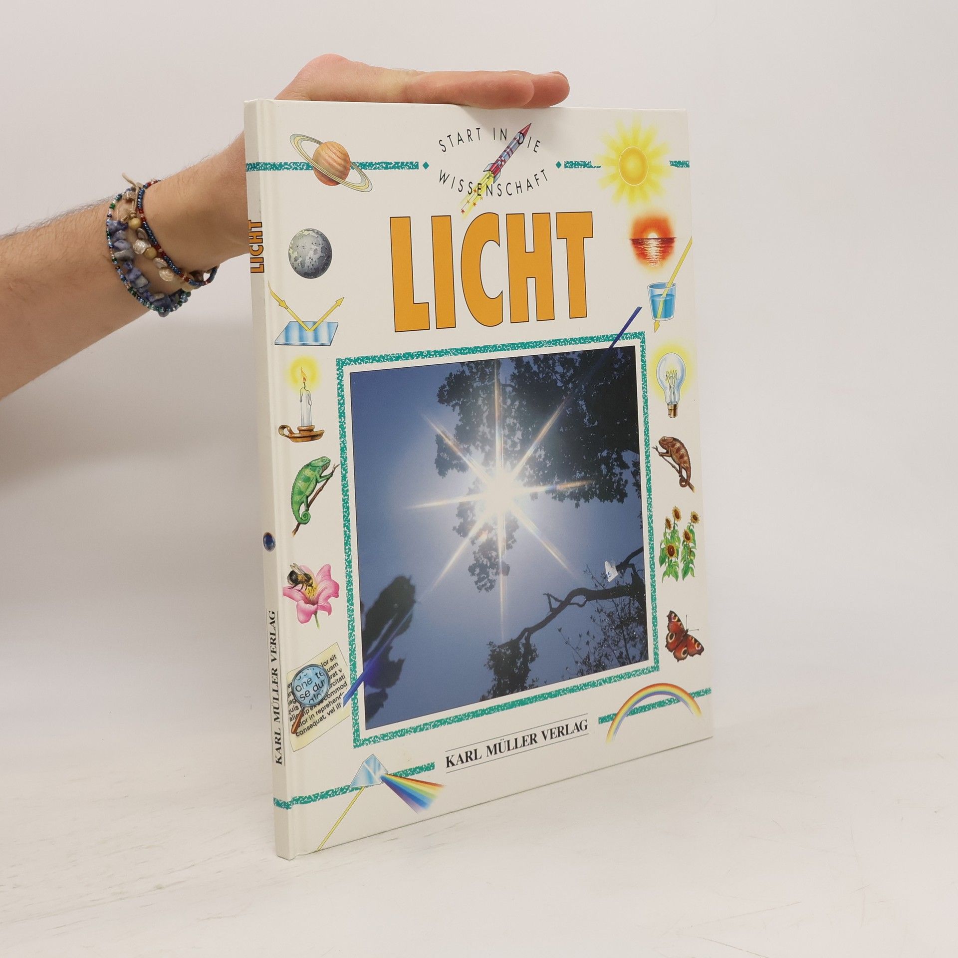Kim Taylor Licht