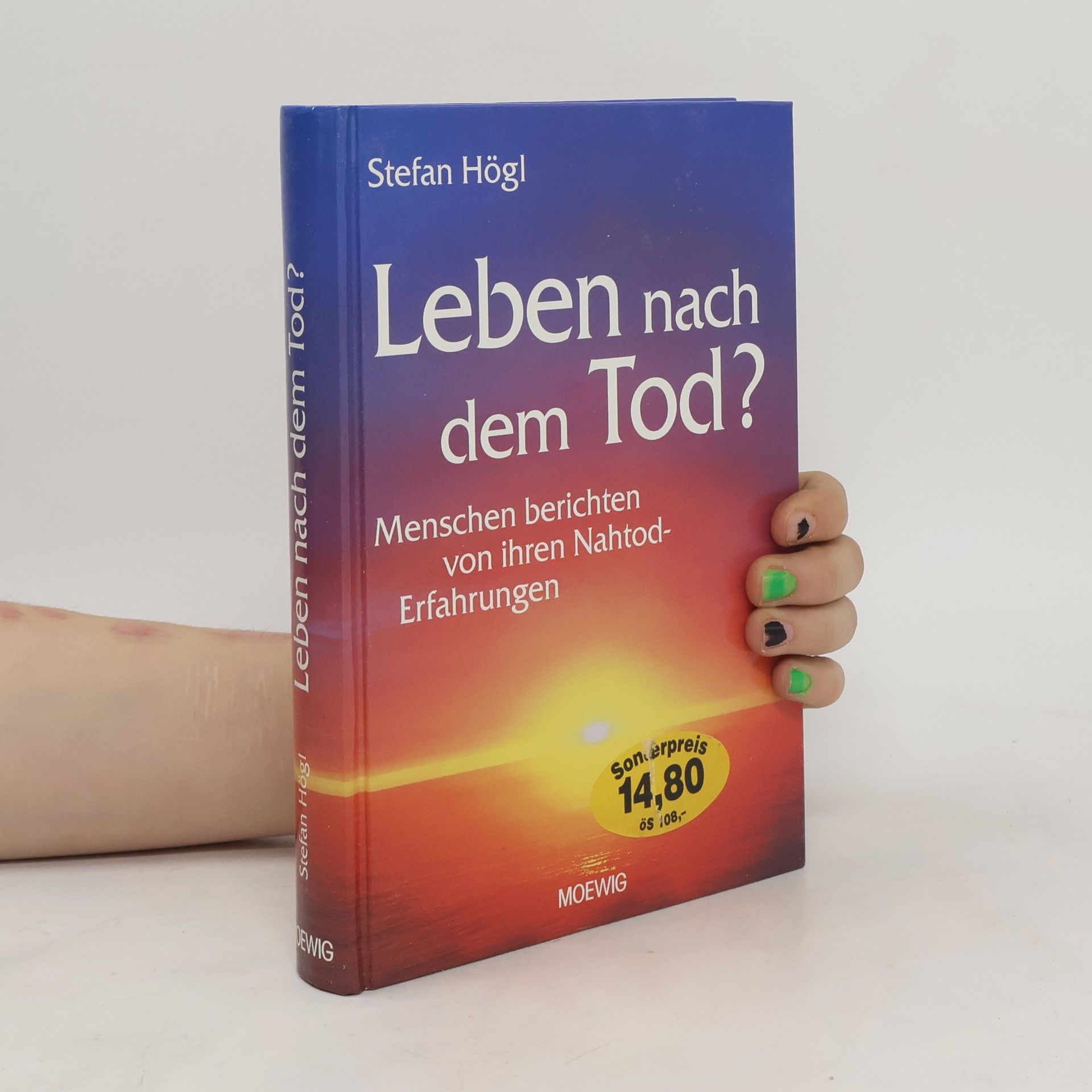 Stefan Högl Leben nach dem Tod?