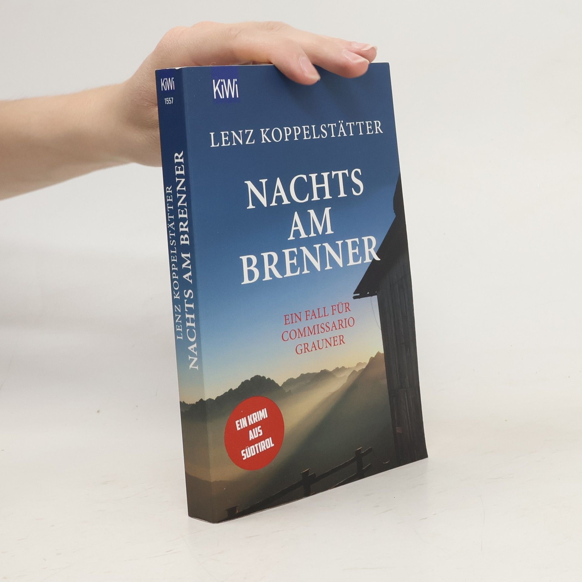Lenz Koppelstätter Nachts am Brenner
