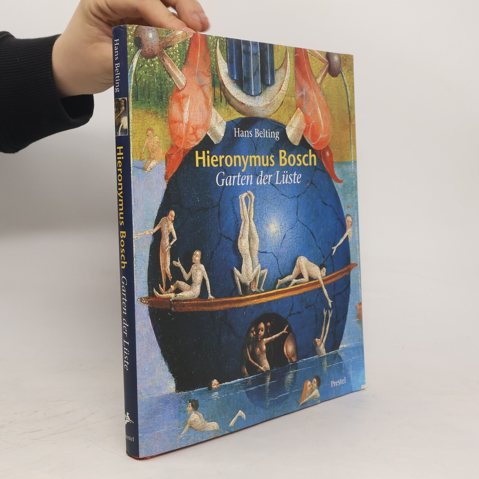 Hans Belting Hieronymus Bosch, Garten der Lüste