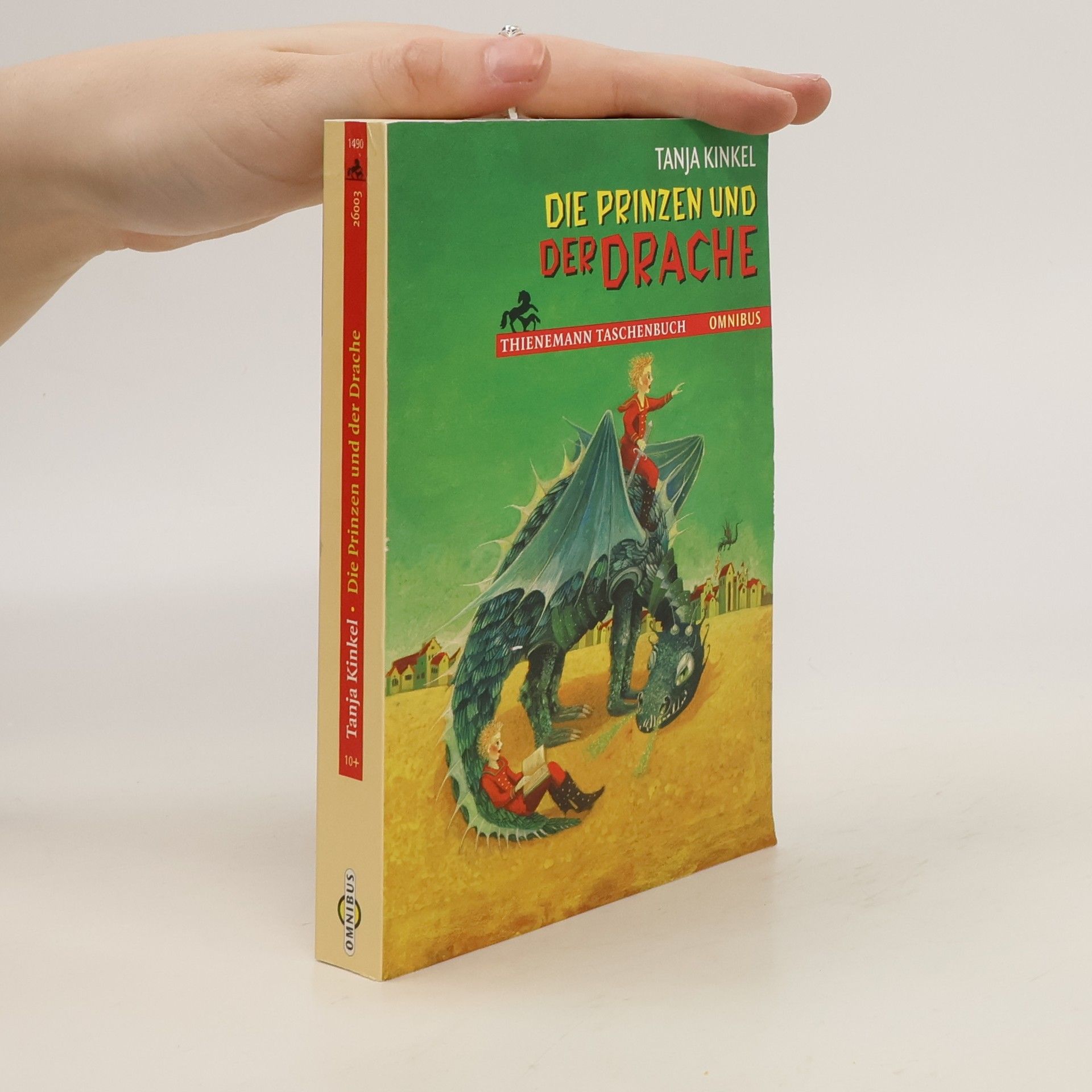 Tanja Kinkel Die Prinzen und der Drache