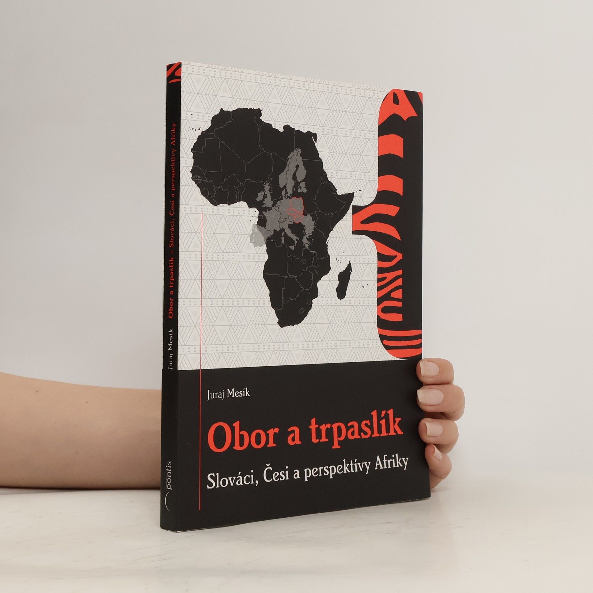 Juraj Mesík Obor a trpaslík : Slováci, Česi a perspektívy Afriky