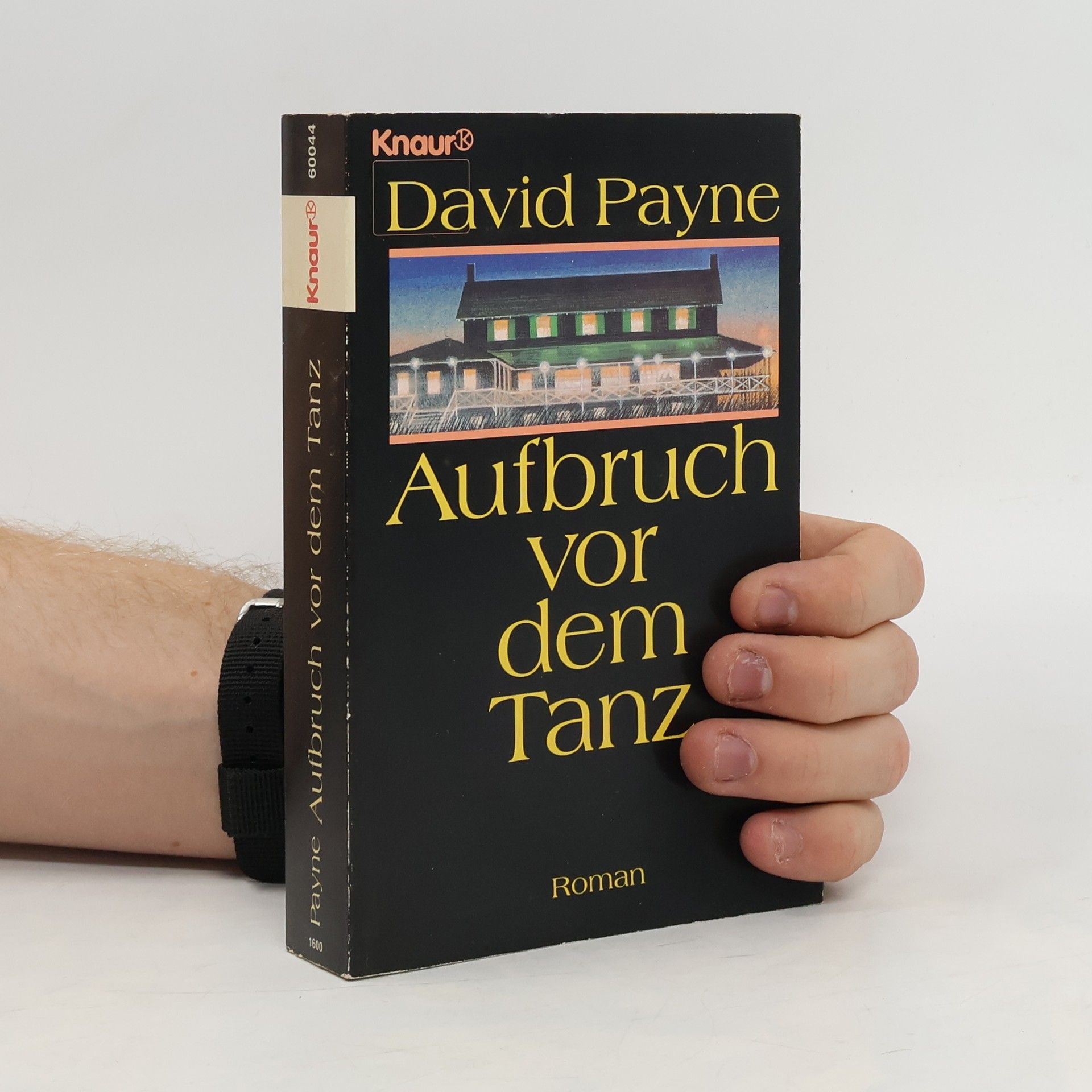David Payne Aufbruch vor dem Tanz. Roman