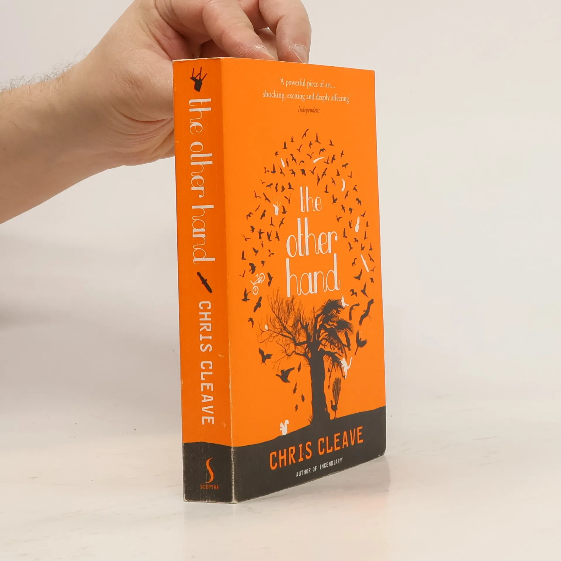 The other hand | Book | Chris Cleave | EN