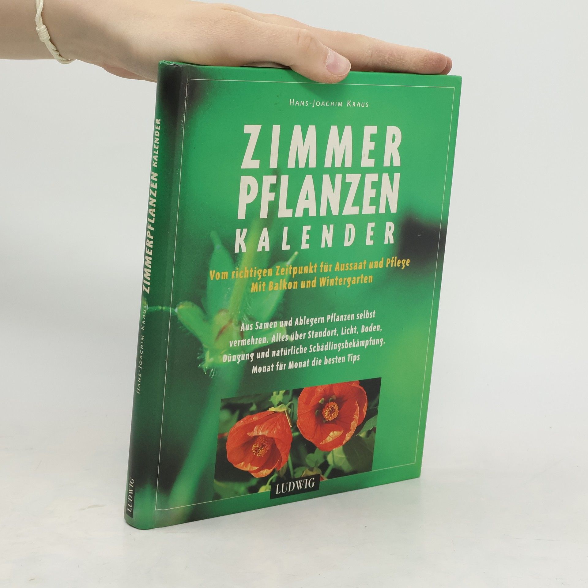 Autorenkollektiv Zimmerpflanzen Kalender