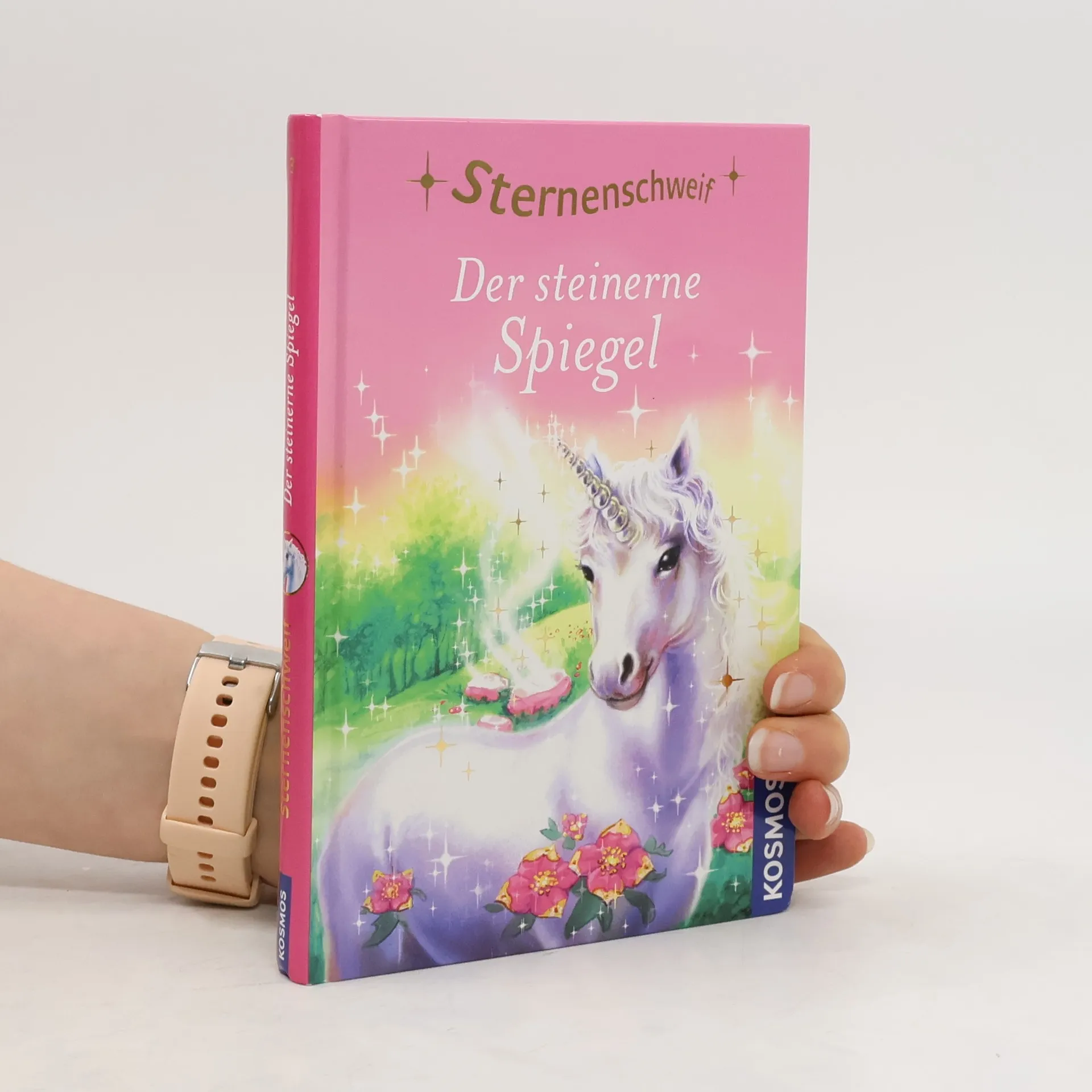Der steinerne Spiegel | Book | Hardcover | Linda Chapman | DE