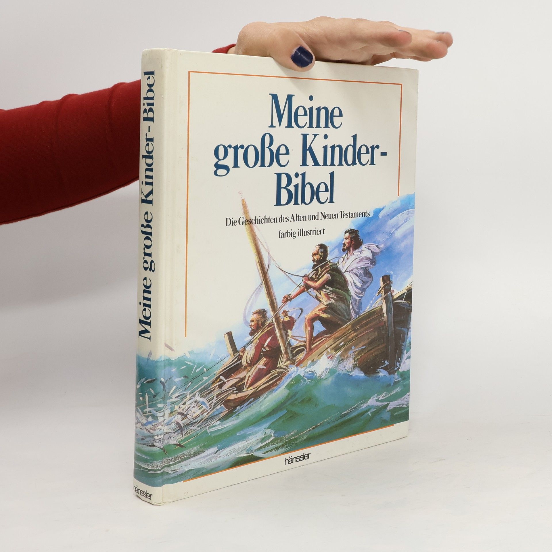 Autorenkollektiv Meine große KinderBibel