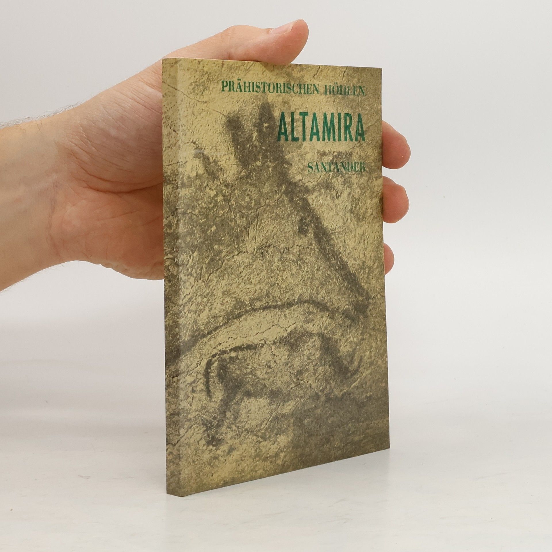 AA.VV. Die Höhle von Altamira