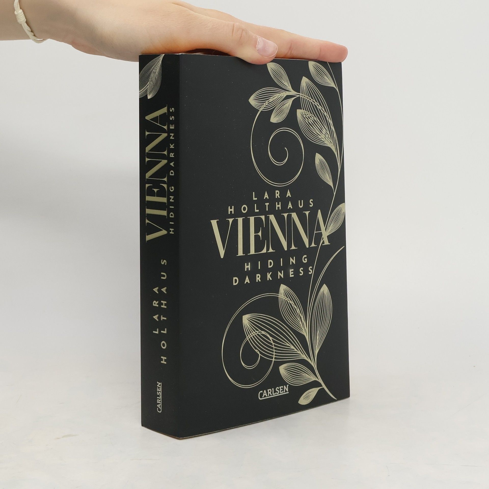Lara Holthaus Hiding Darkness / Vienna Bd.2