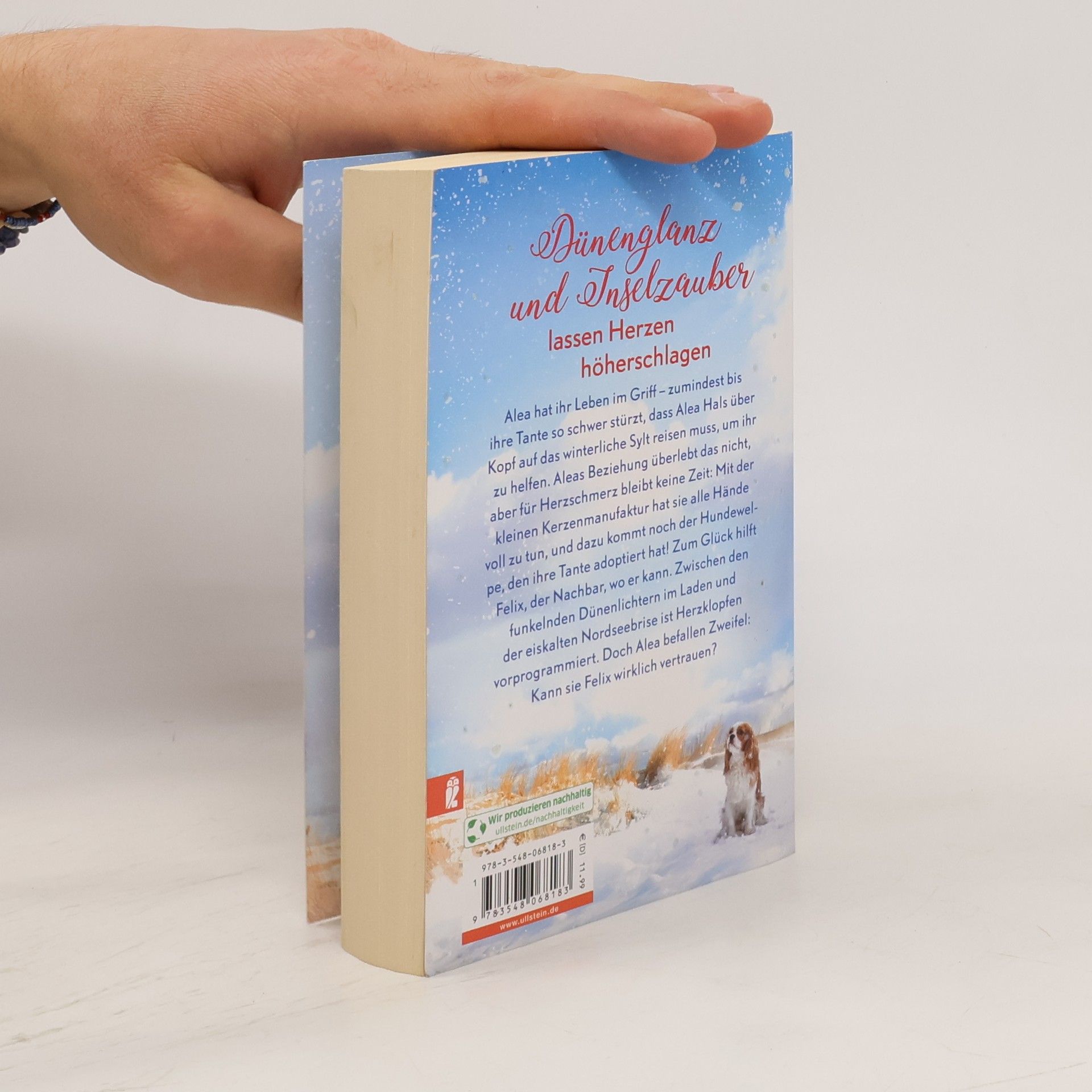 Julia Rogasch Winterträume in der kleinen Manufaktur am Meer