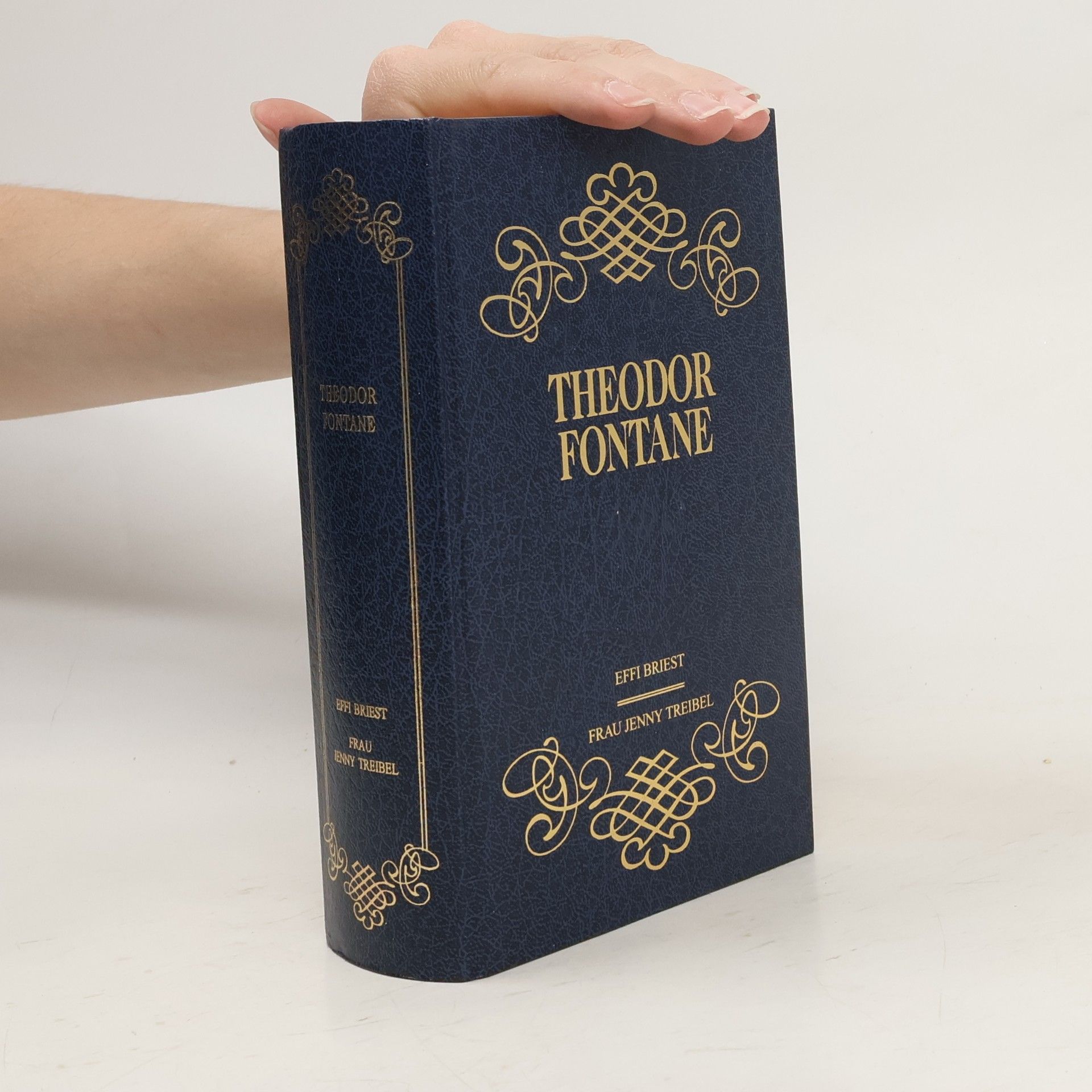Theodor Fontane Effi Briest / Frau Jenny Treibel.