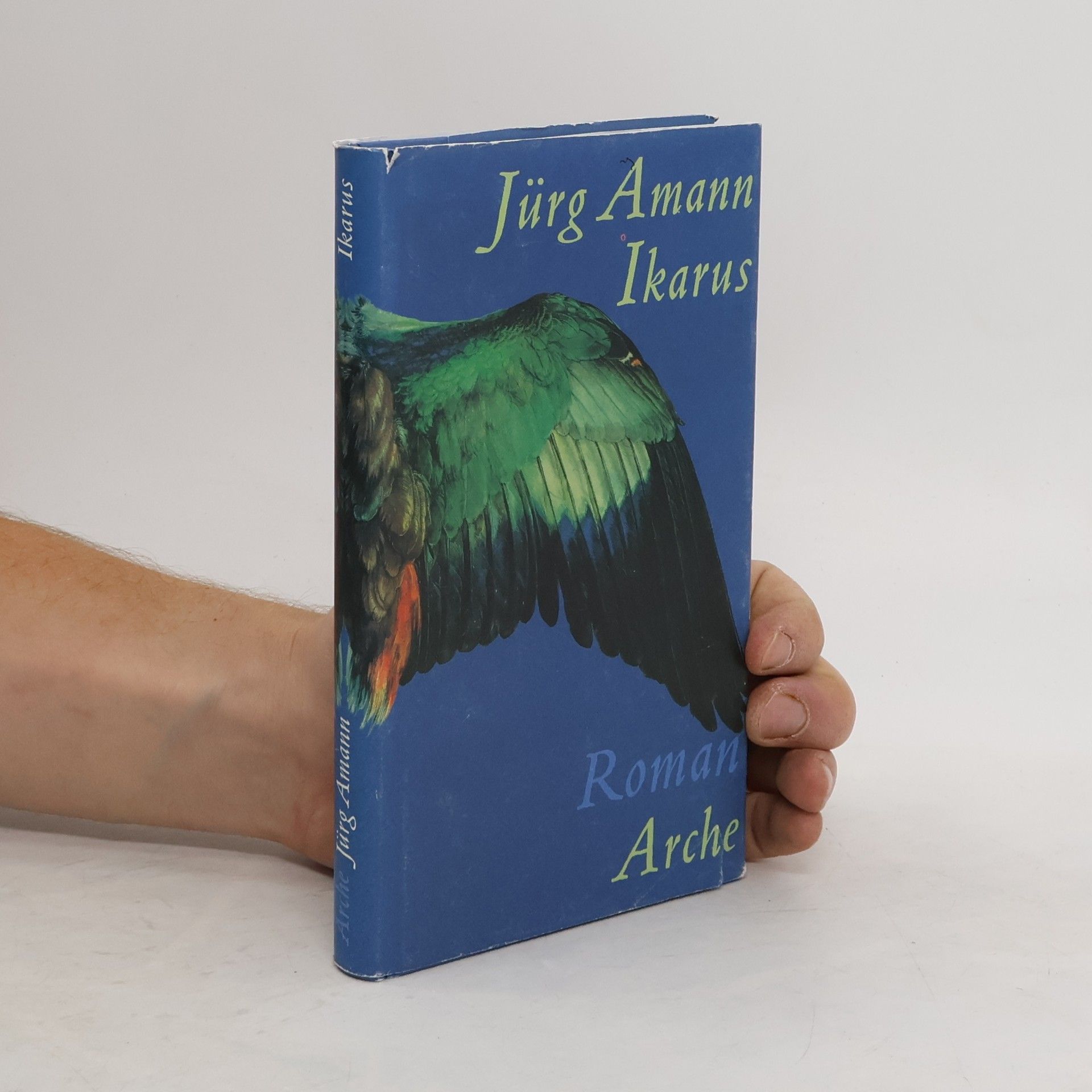 Jürg Amann Ikarus