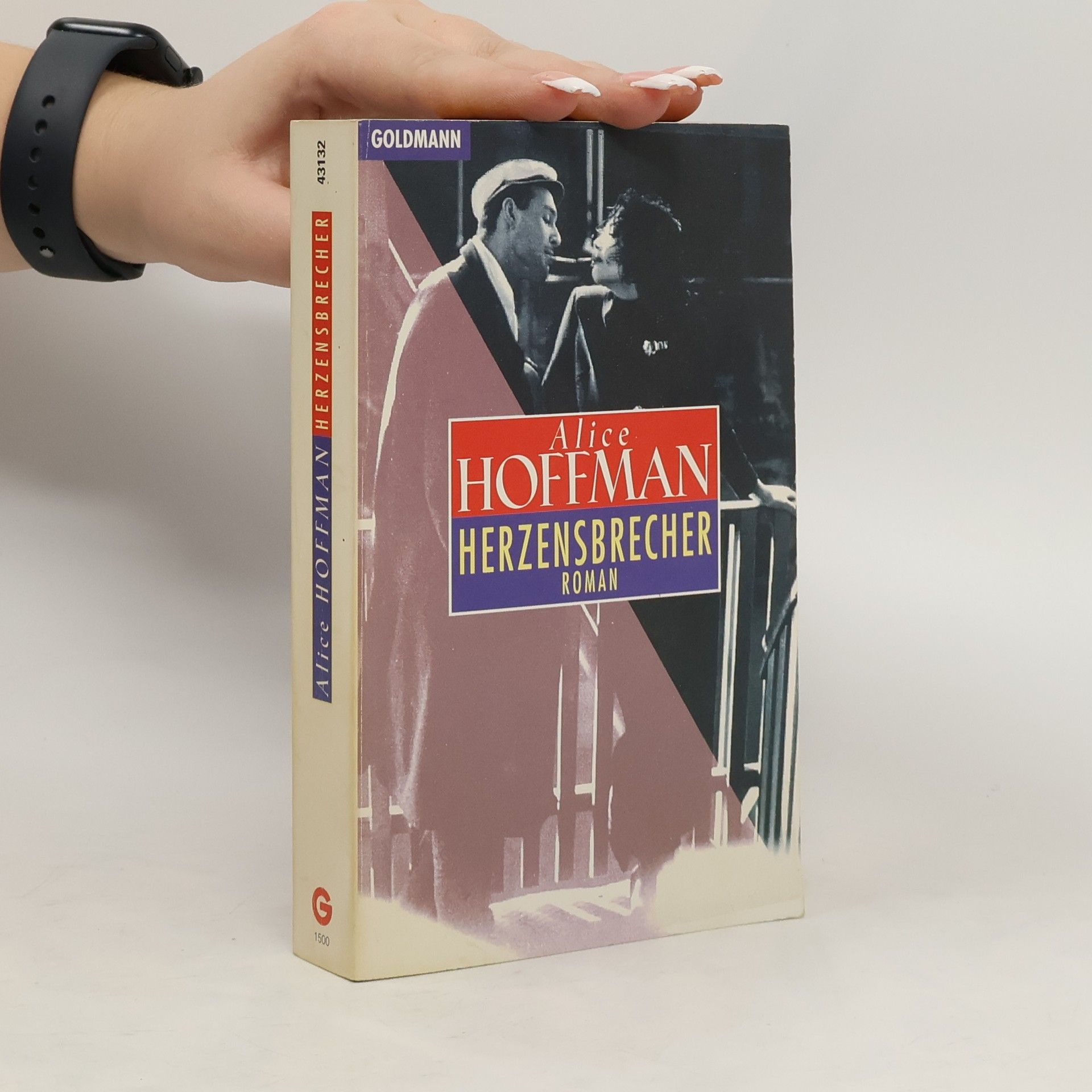 Alice Hoffmann Herzensbrecher
