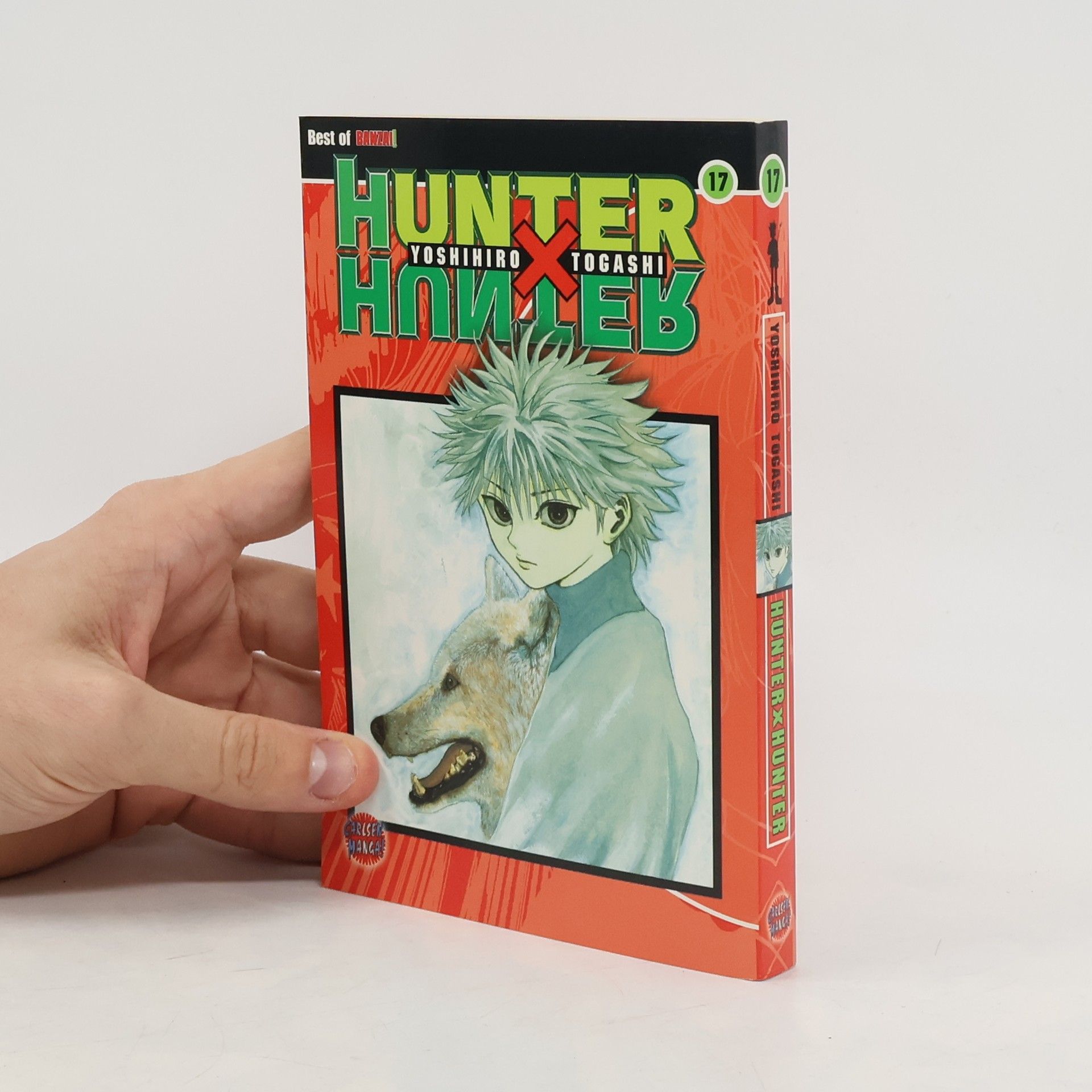 Yoshihiro Togashi Hunter X Hunter 17