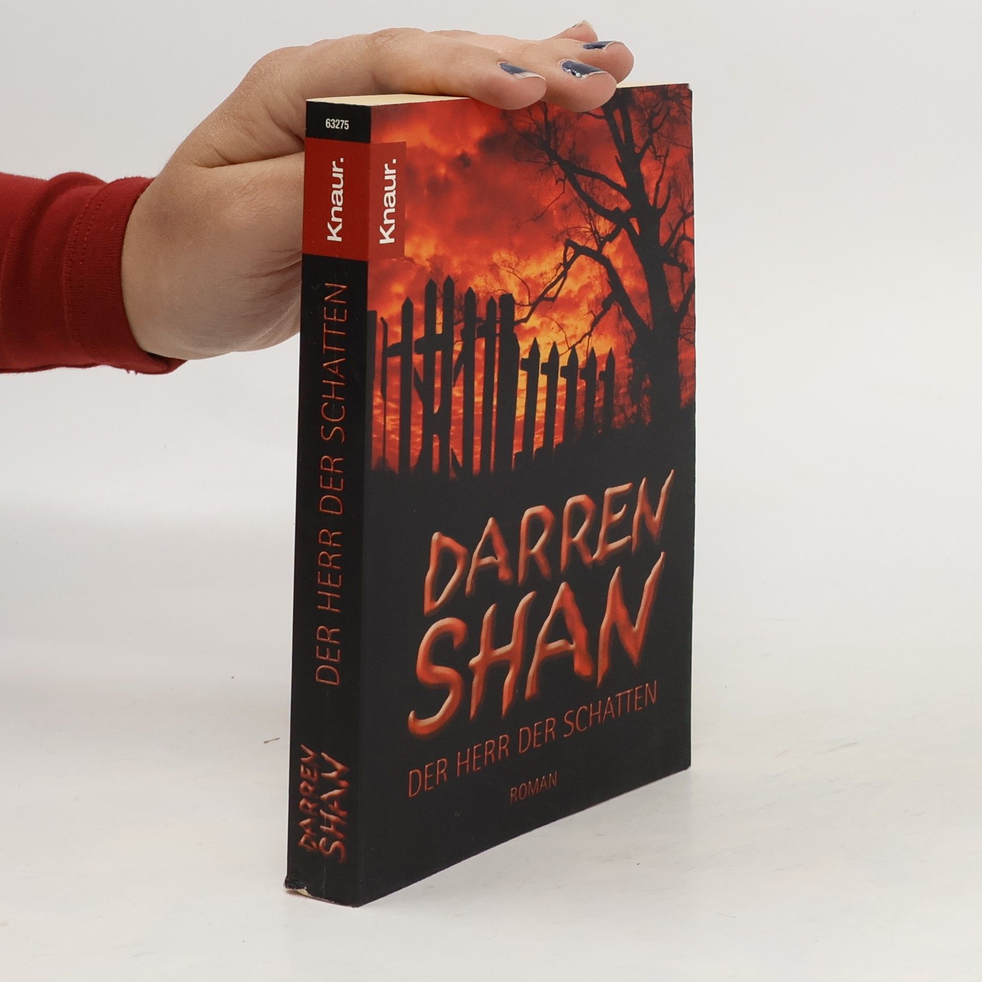 Darren O. Shaughnessy Der Herr der Schatten