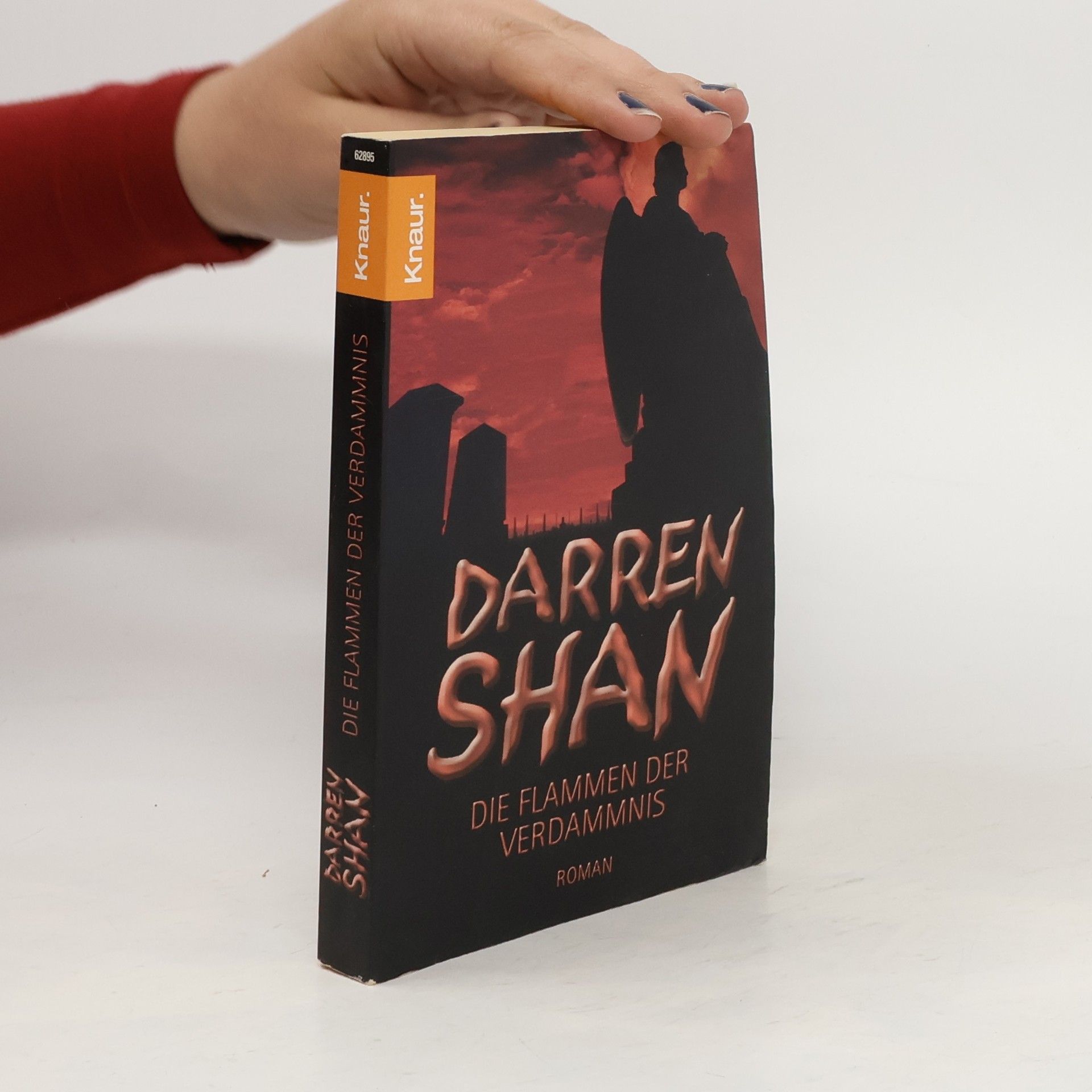 Darren Shan Die Flammen der Verdammnis