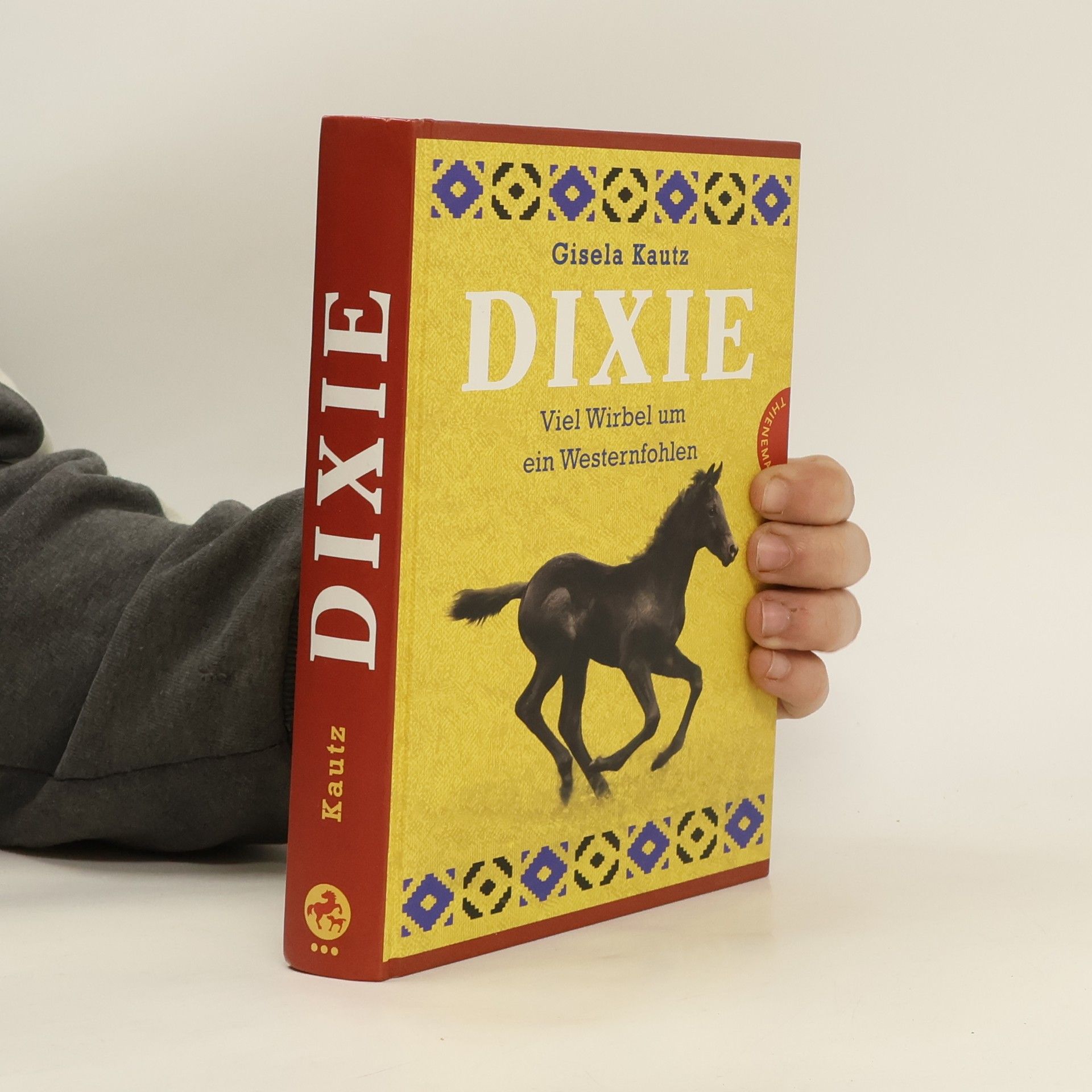 Gisela Kautz Dixie - viel Wirbel um ein Westernfohlen