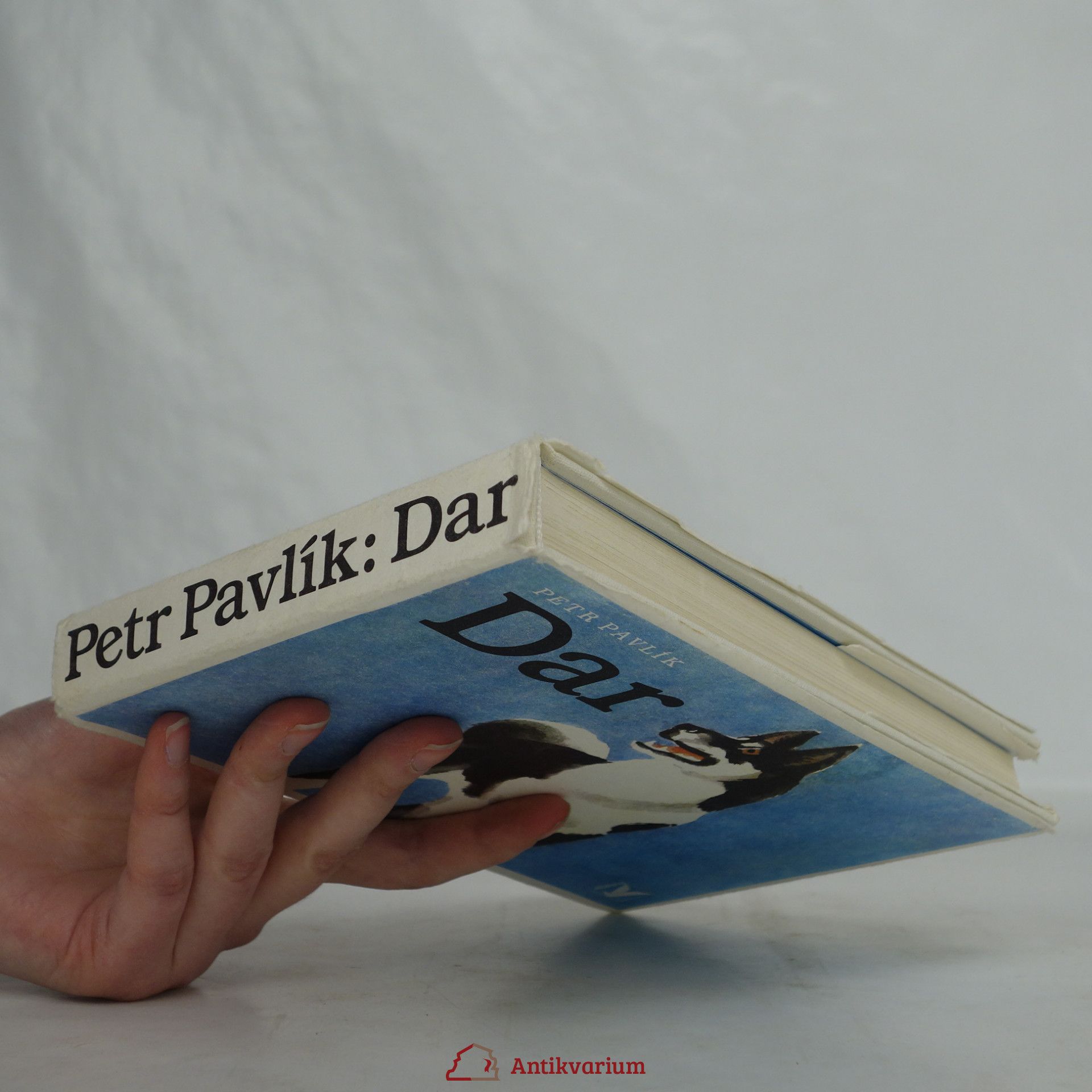 Petr Pavlík Dar