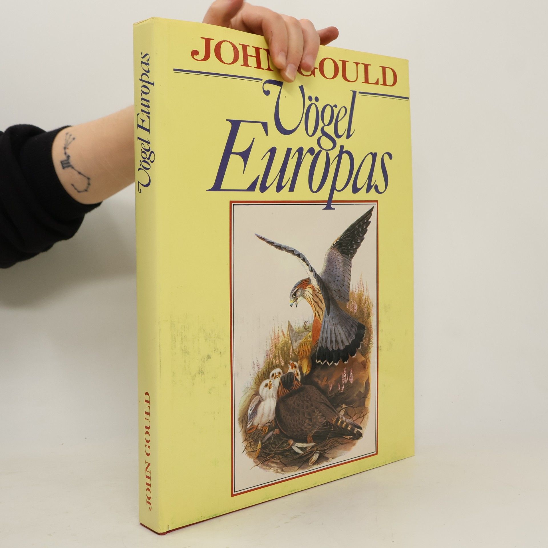 John Gould Vögel Europas