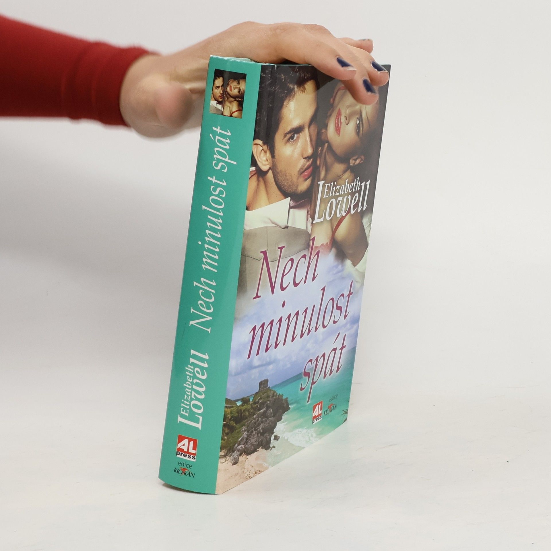 Elizabeth Lowell Nech minulost spát