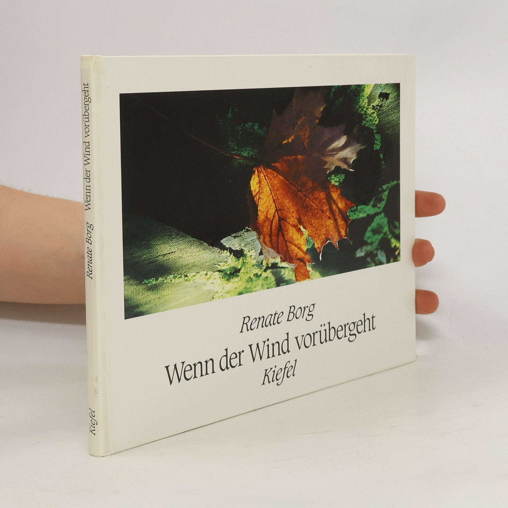 Renate Borg Wenn der Wind vorübergeht
