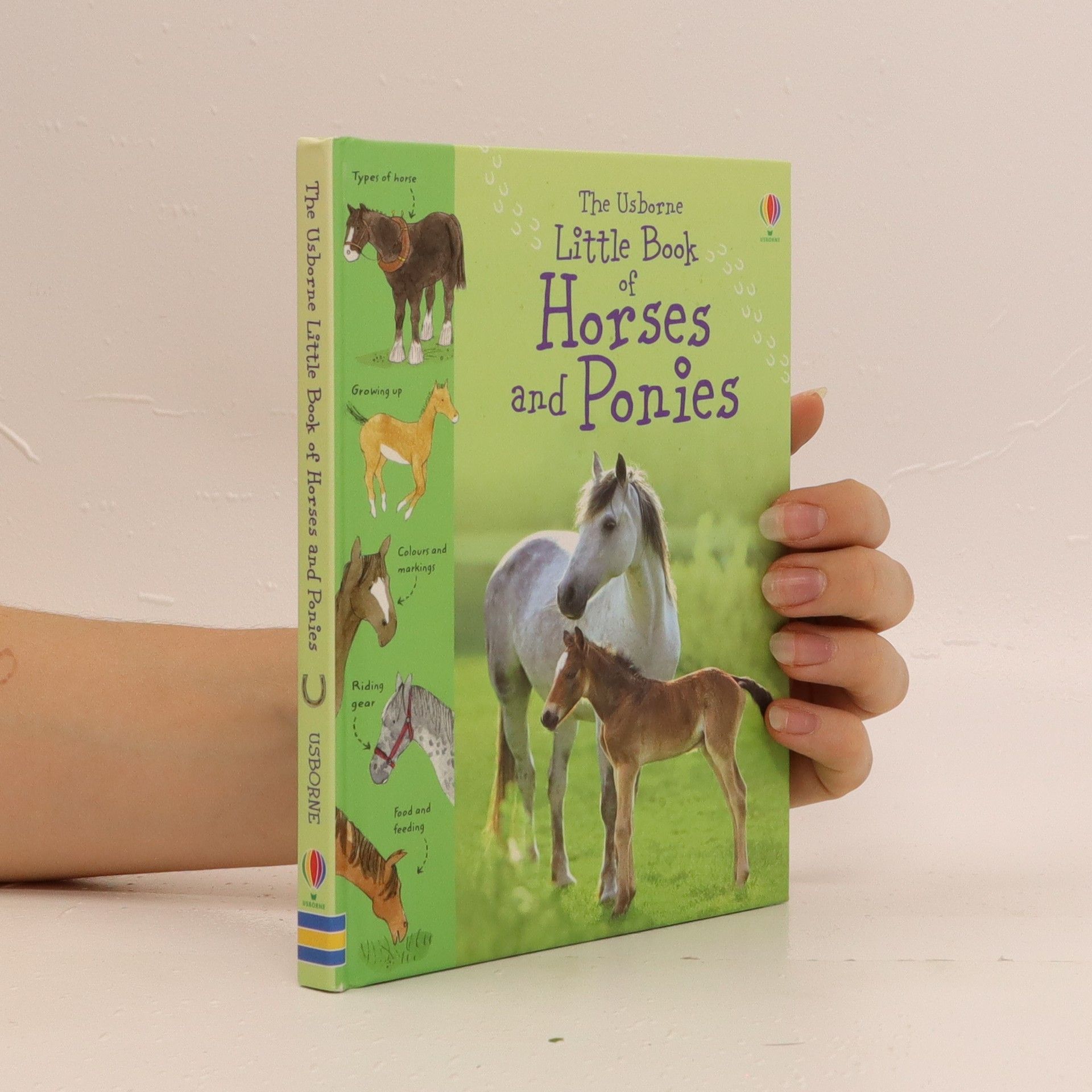 Kolektiv autorů The Usborne Little book of horses and ponies