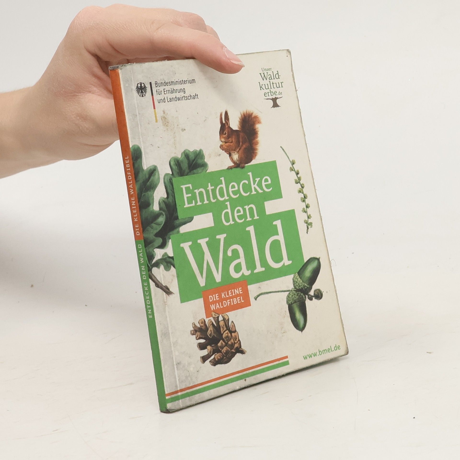 Autorenkollektiv Entdecke den Walt