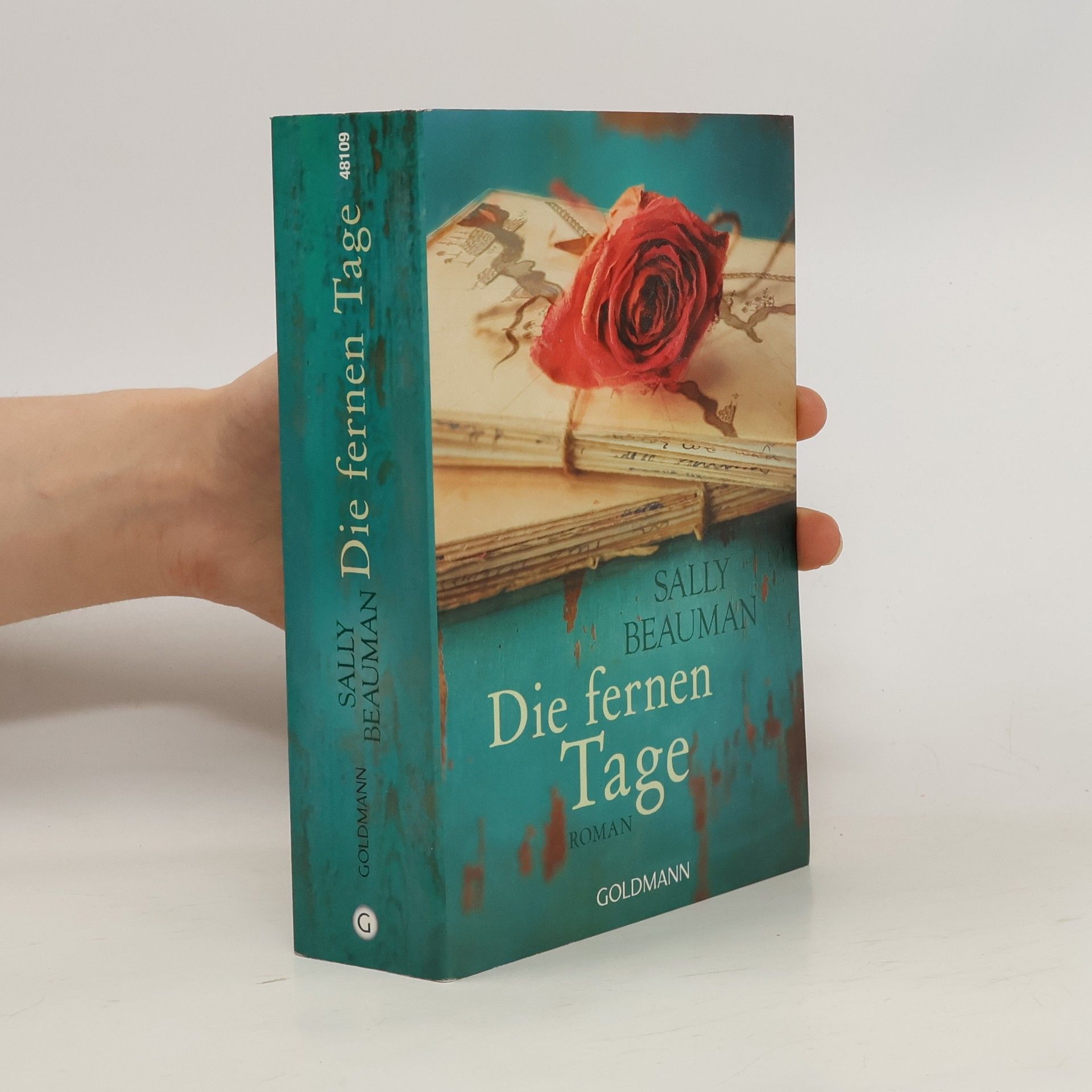 Sally Beauman Die fernen Tage