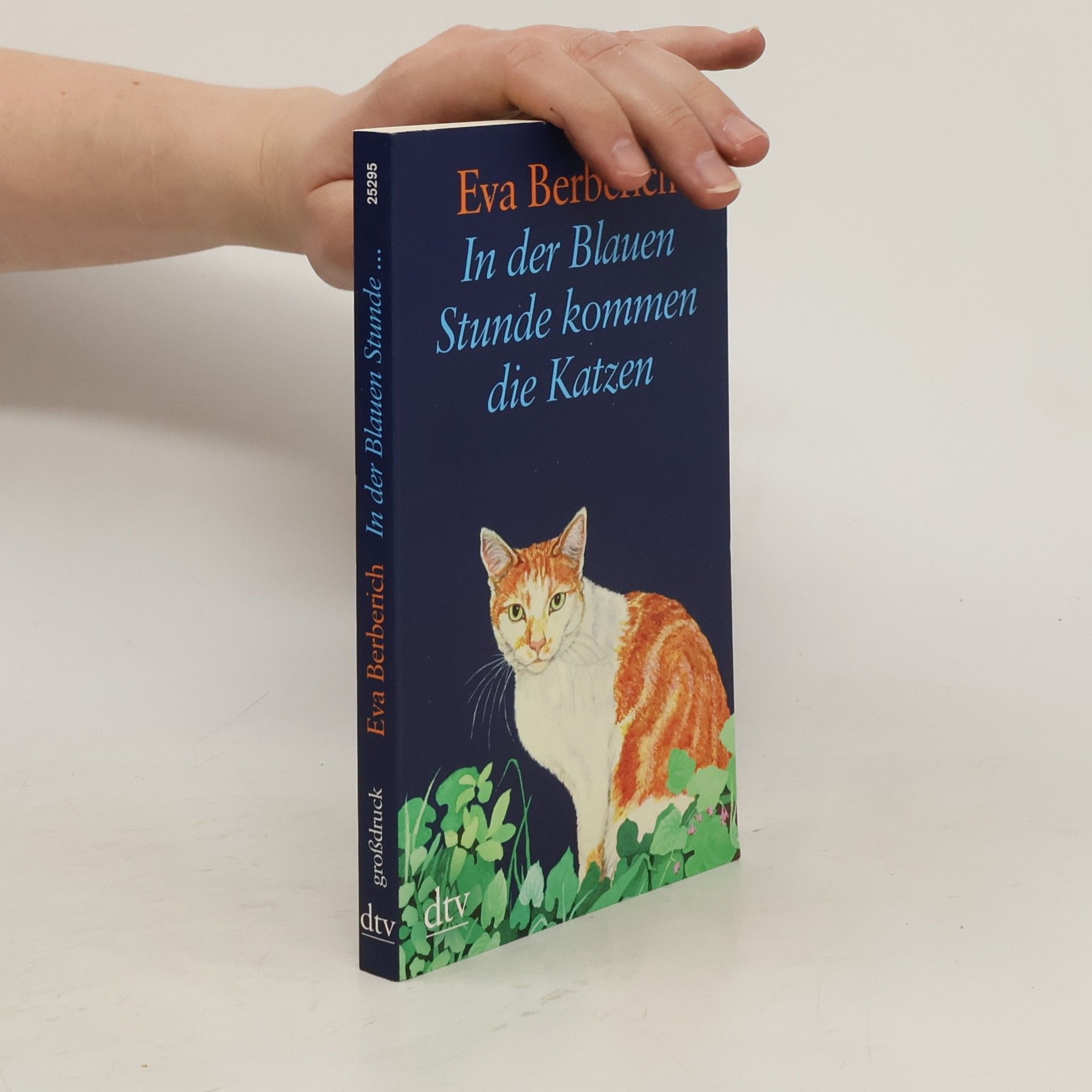 Eva Berberich In der blauen Stunde kommen die Katzen
