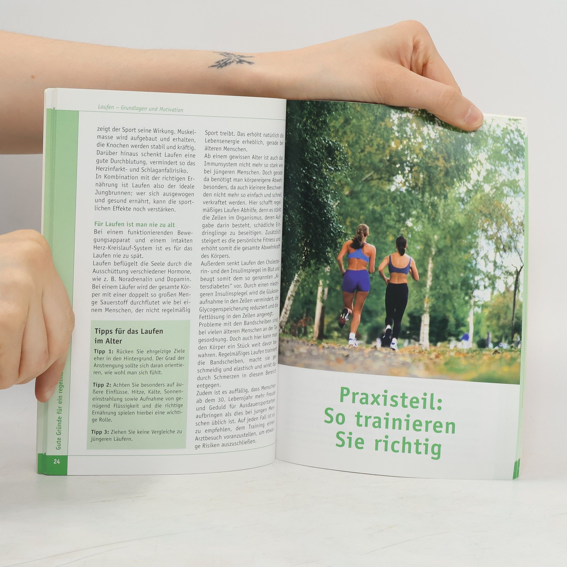 Autores varios Laufen