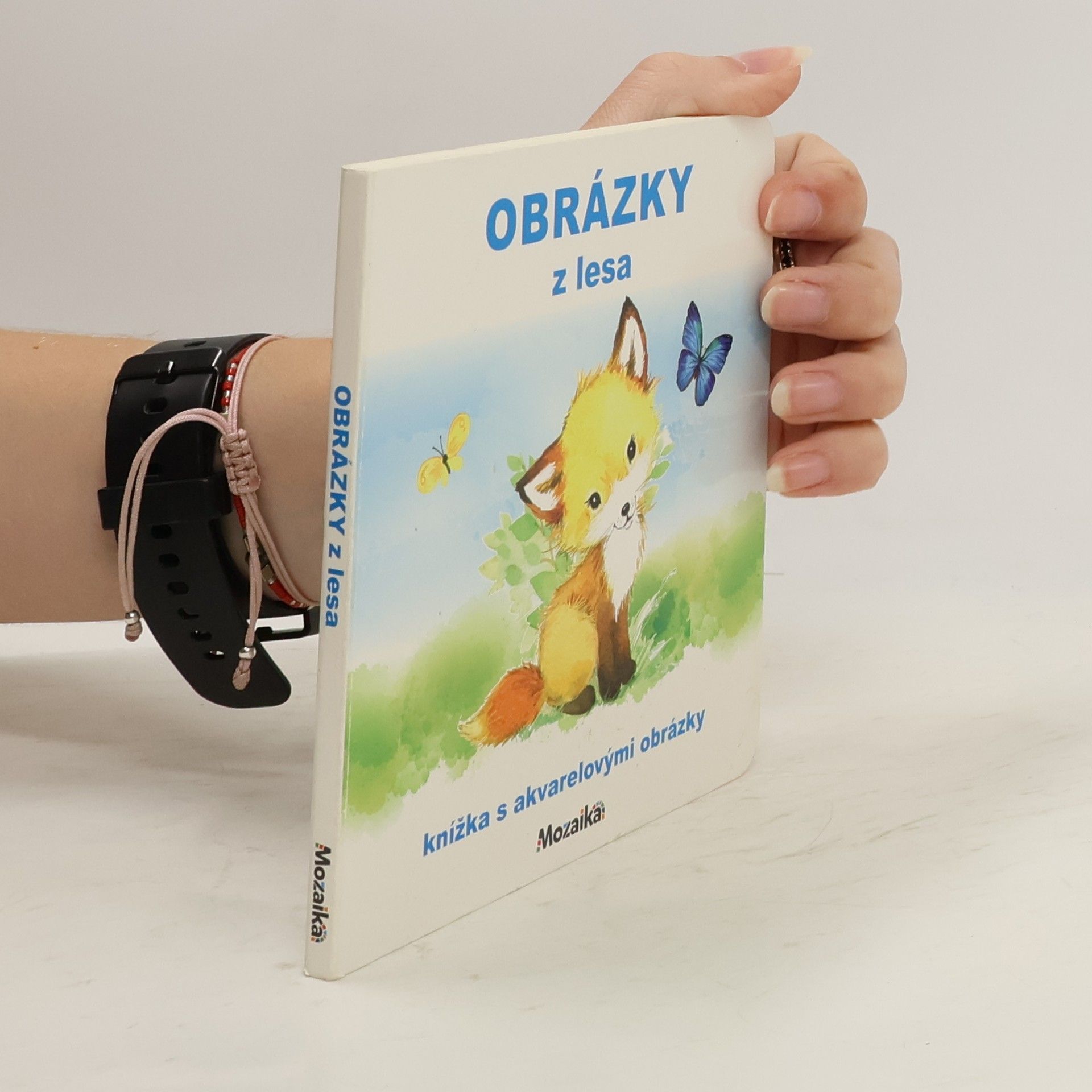 kolektiv Obrázky z lesa