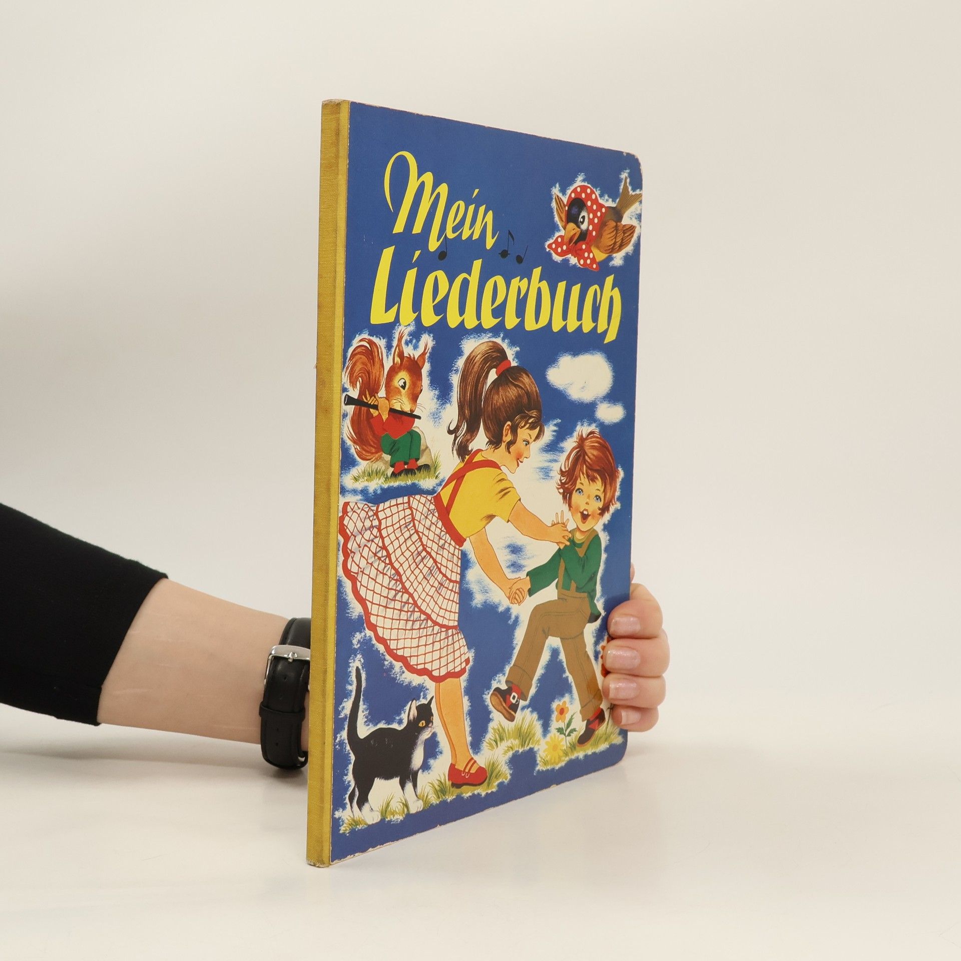 Autorenkollektiv Mein Liederbuch